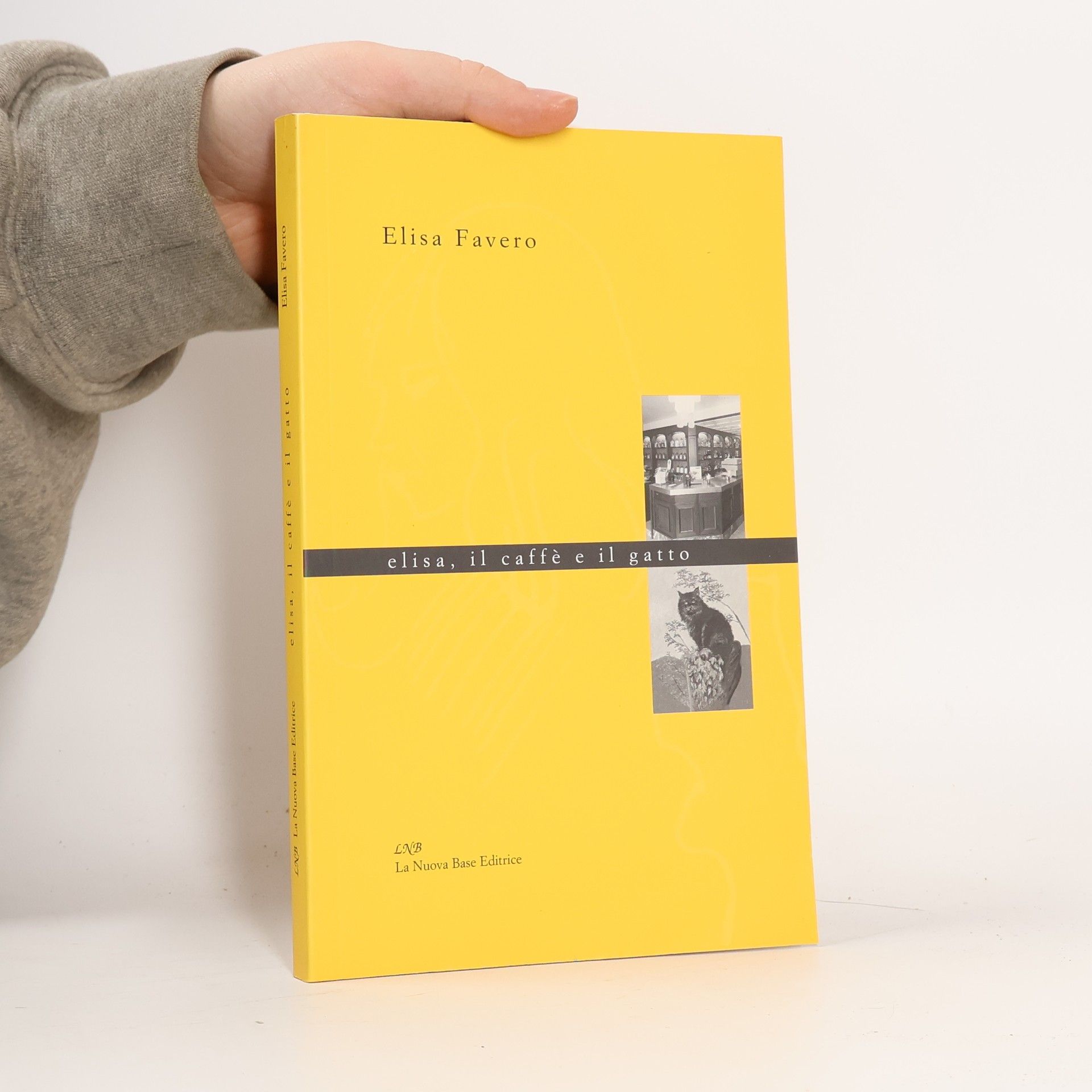 Elisa Favero Elisa, il caffè e il gatto