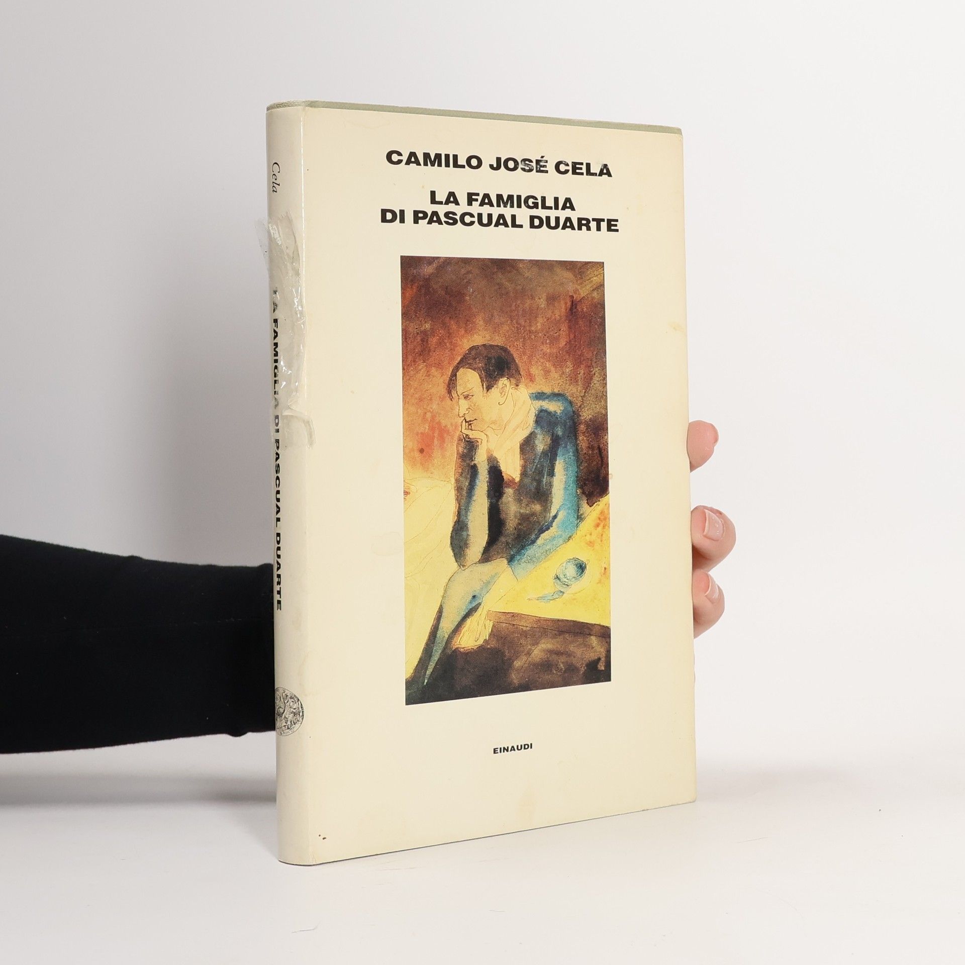 Camilo José Cela La famiglia di Pascual Duarte