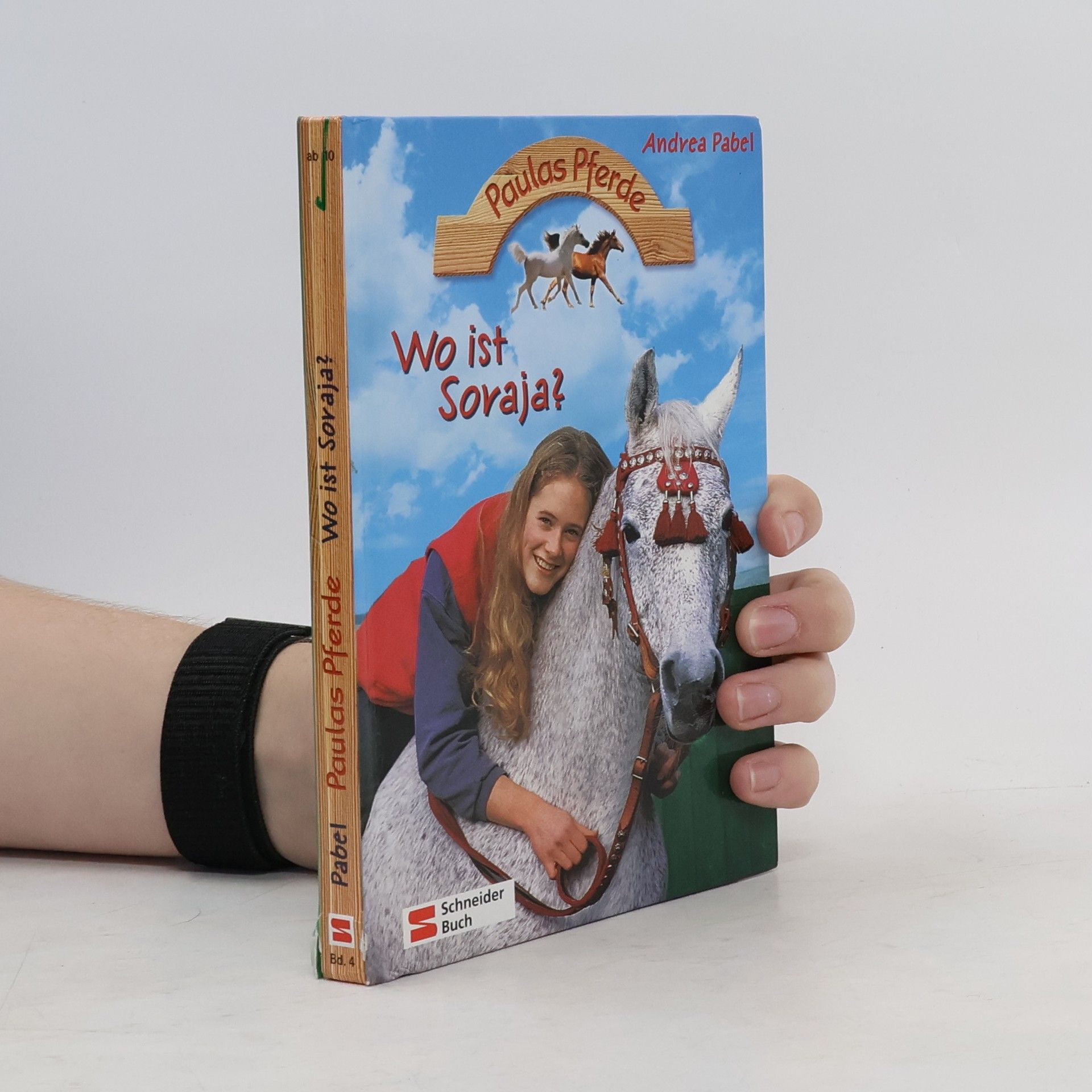 Andrea Pabel Paulas Pferde: Wo ist Soraja?