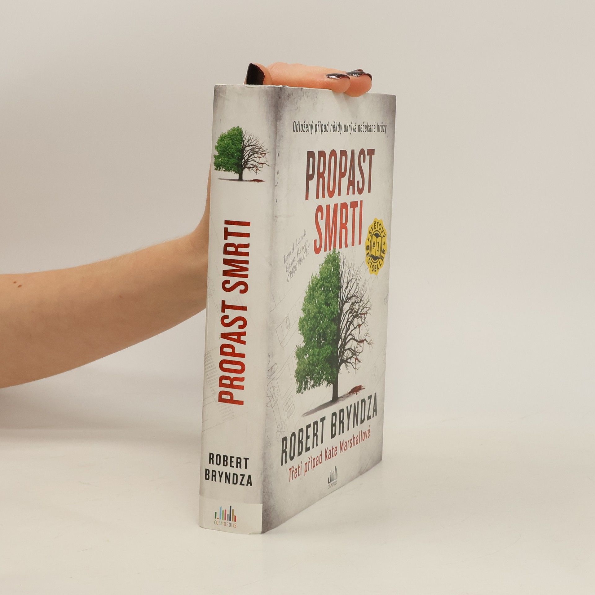 Robert Bryndza Propast smrti