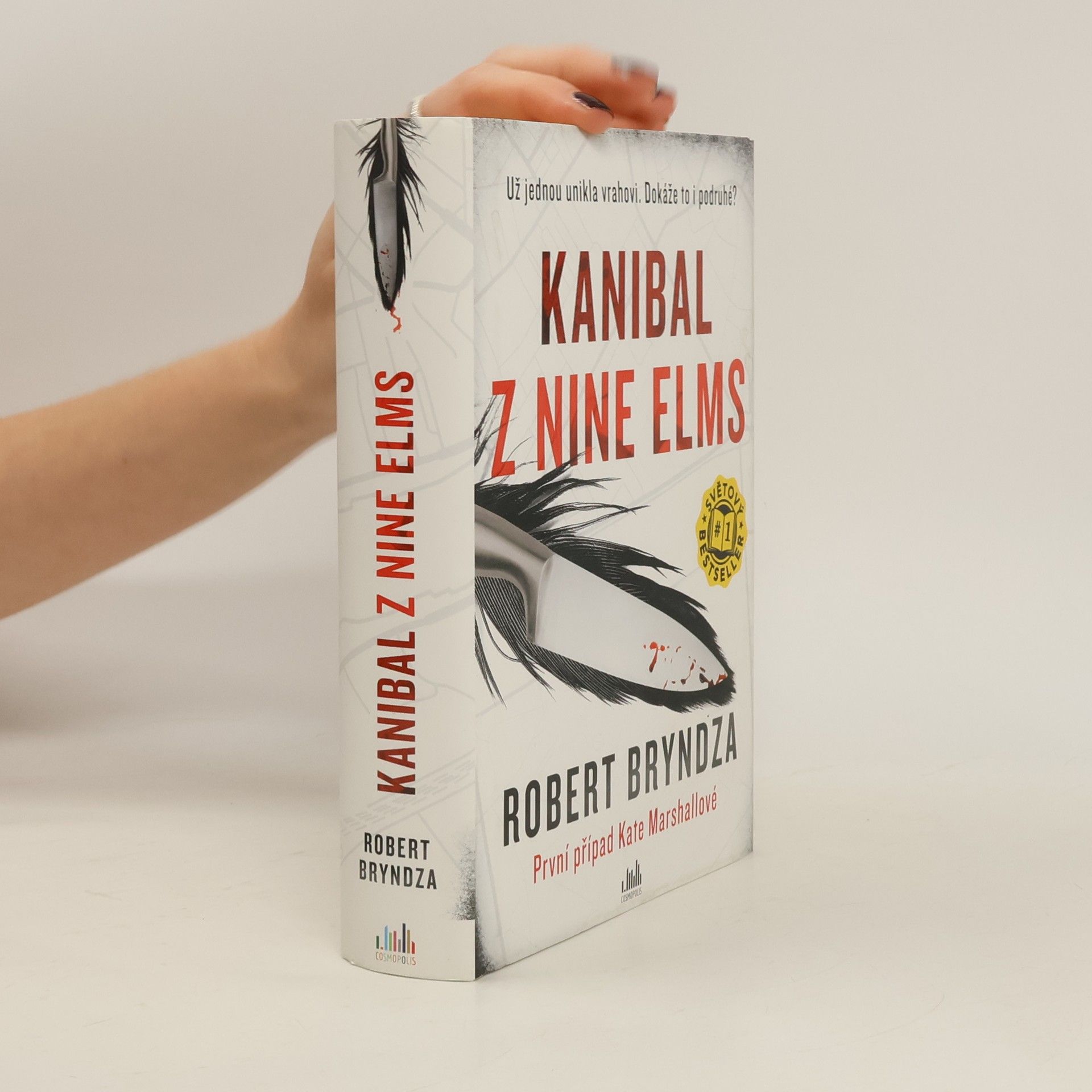 Robert Bryndza Kanibal z Nine Elms