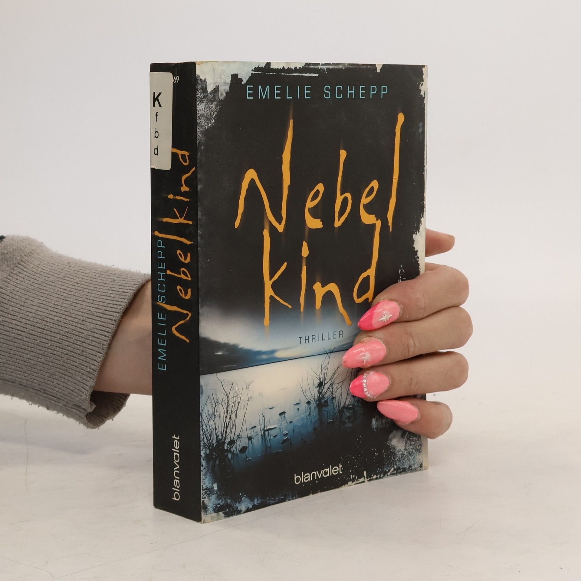 Emelie Schepp Nebelkind