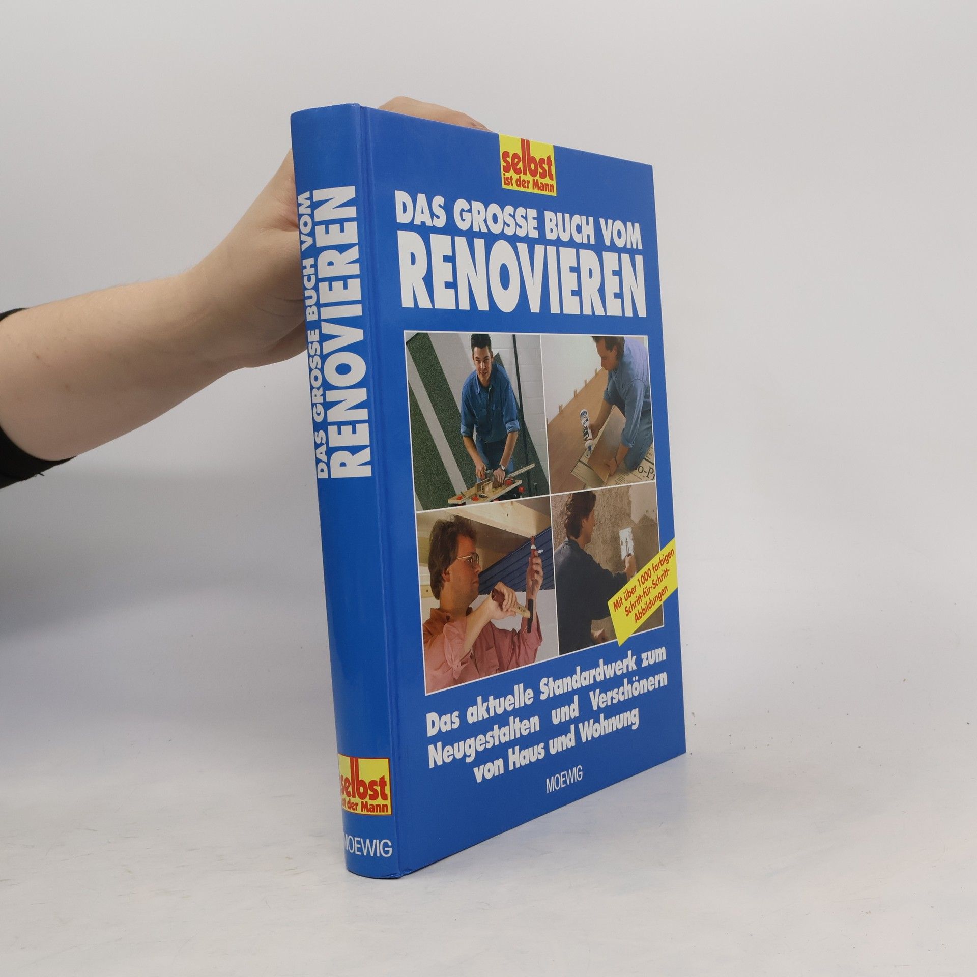 Hans Altmeyer Das grosse Buch vom Renovieren