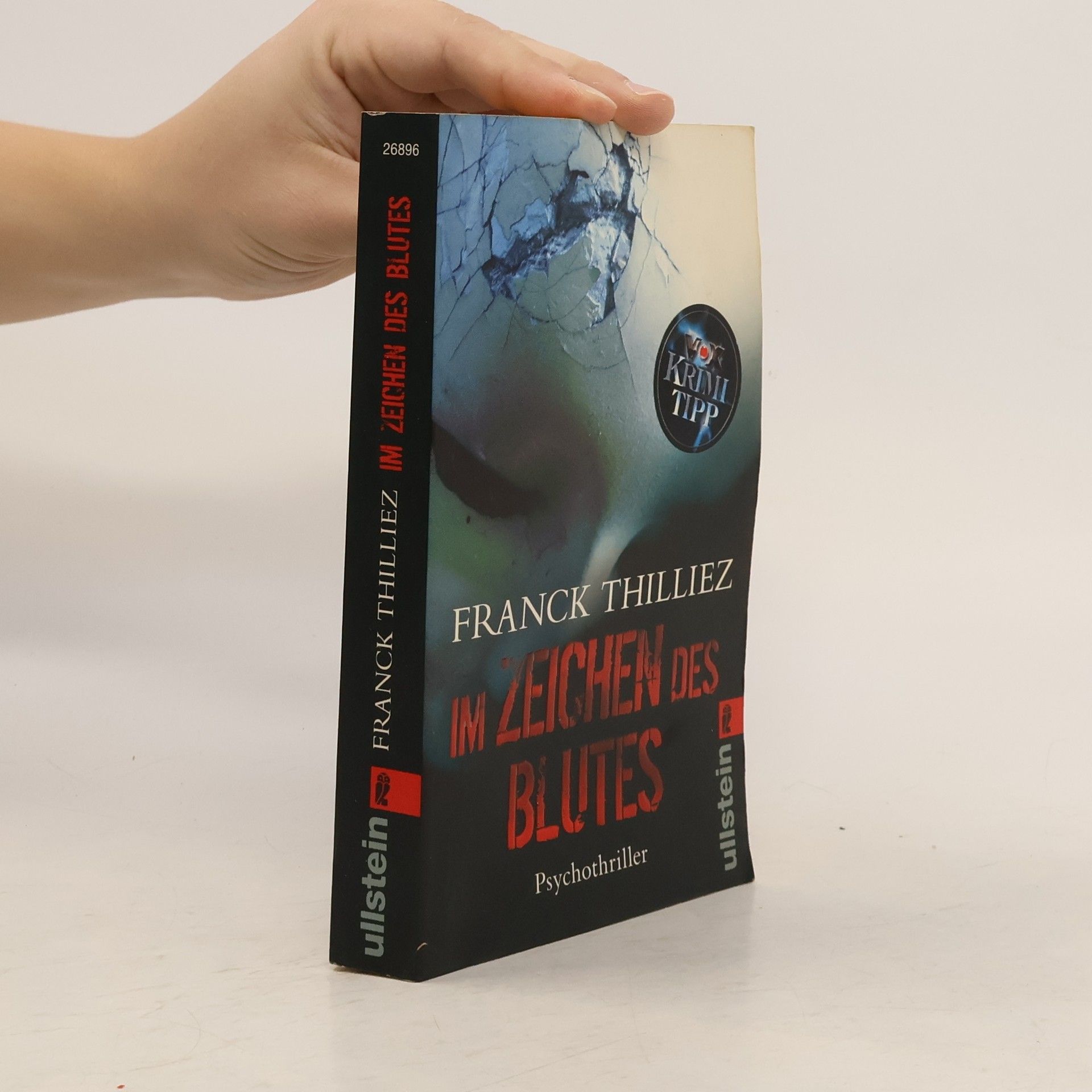 Franck Thilliez Im Zeichen des Blutes