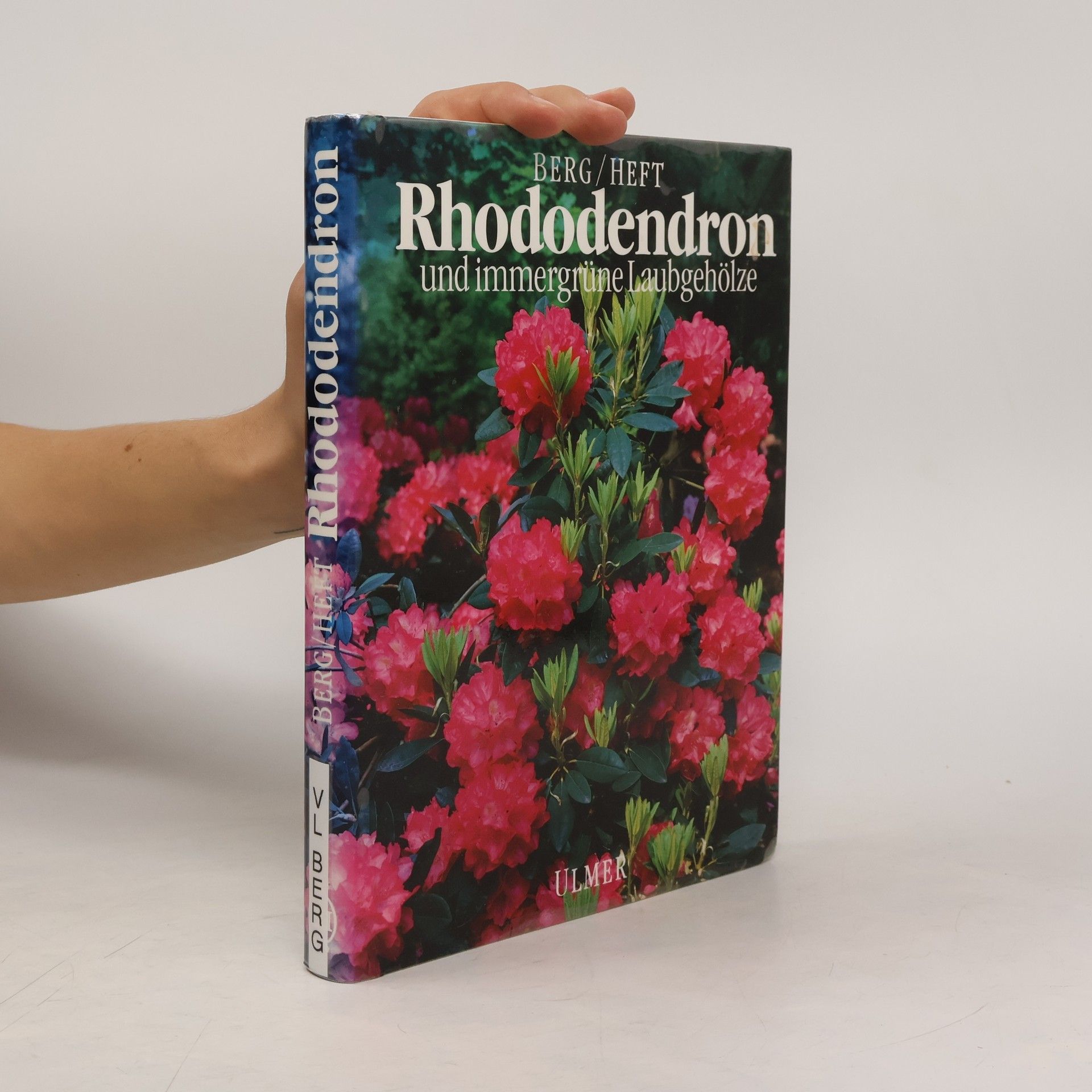 Johann Berg Rhododendron und immergrüne Laubgehölze