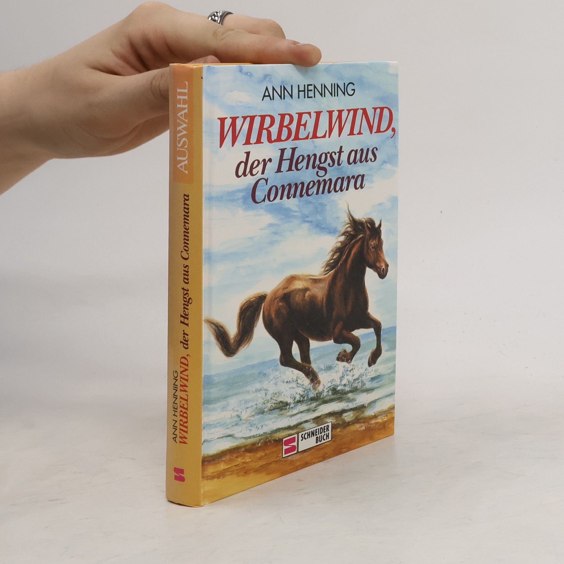 Wirbelwind, der Hengst aus Connemara