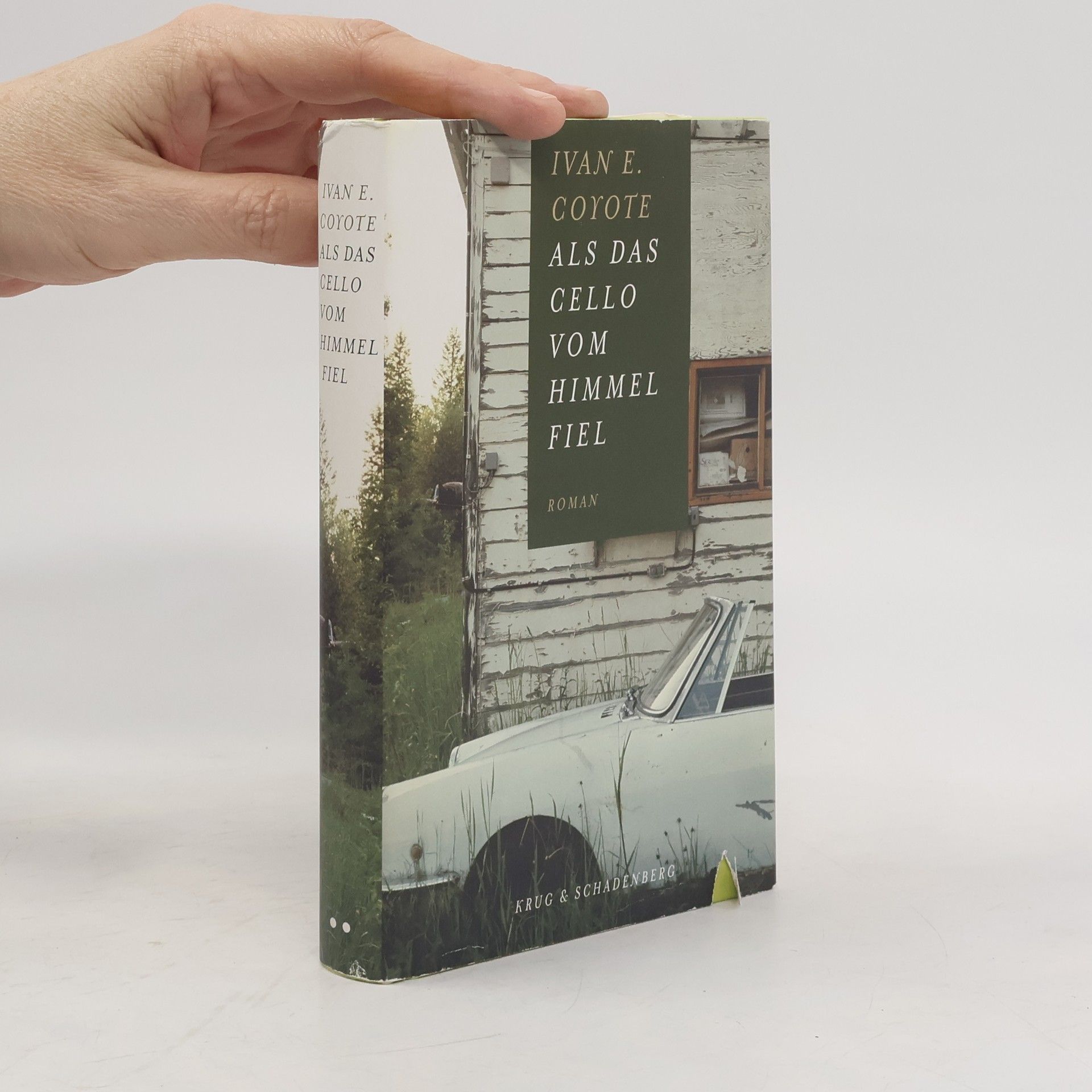 Ivan E. Coyote Als das Cello vom Himmel fiel