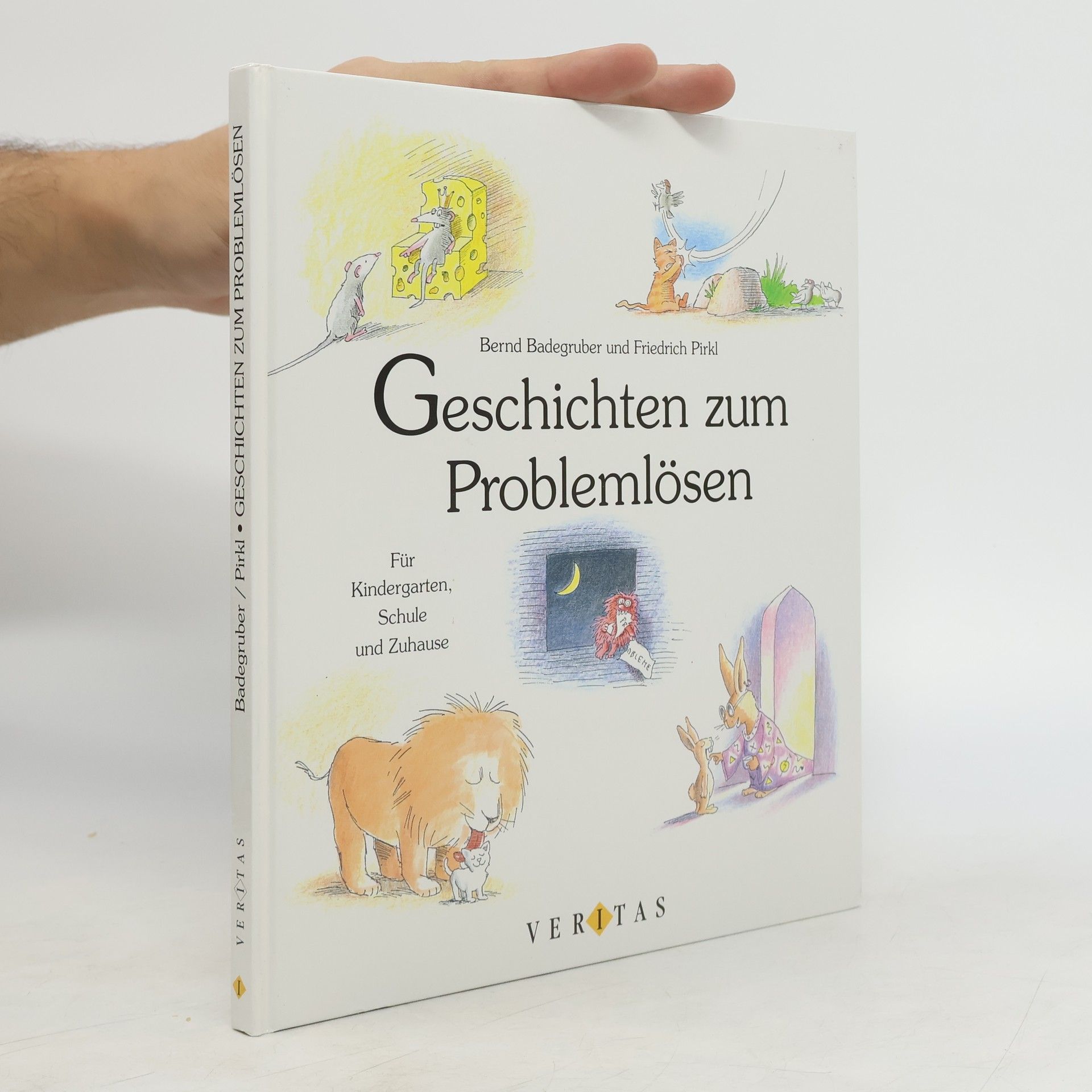 Bernd Badegruber Geschichten zum Problemlösen