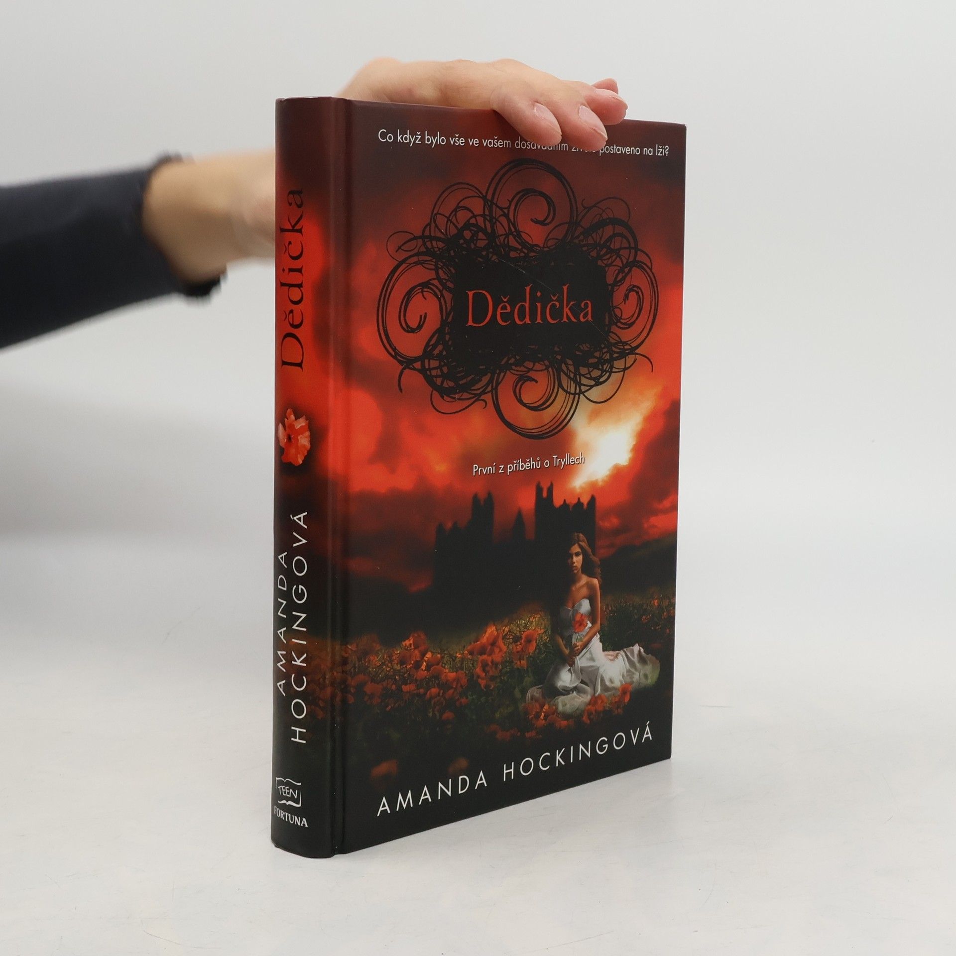 Amanda Hocking Dědička. 1. díl