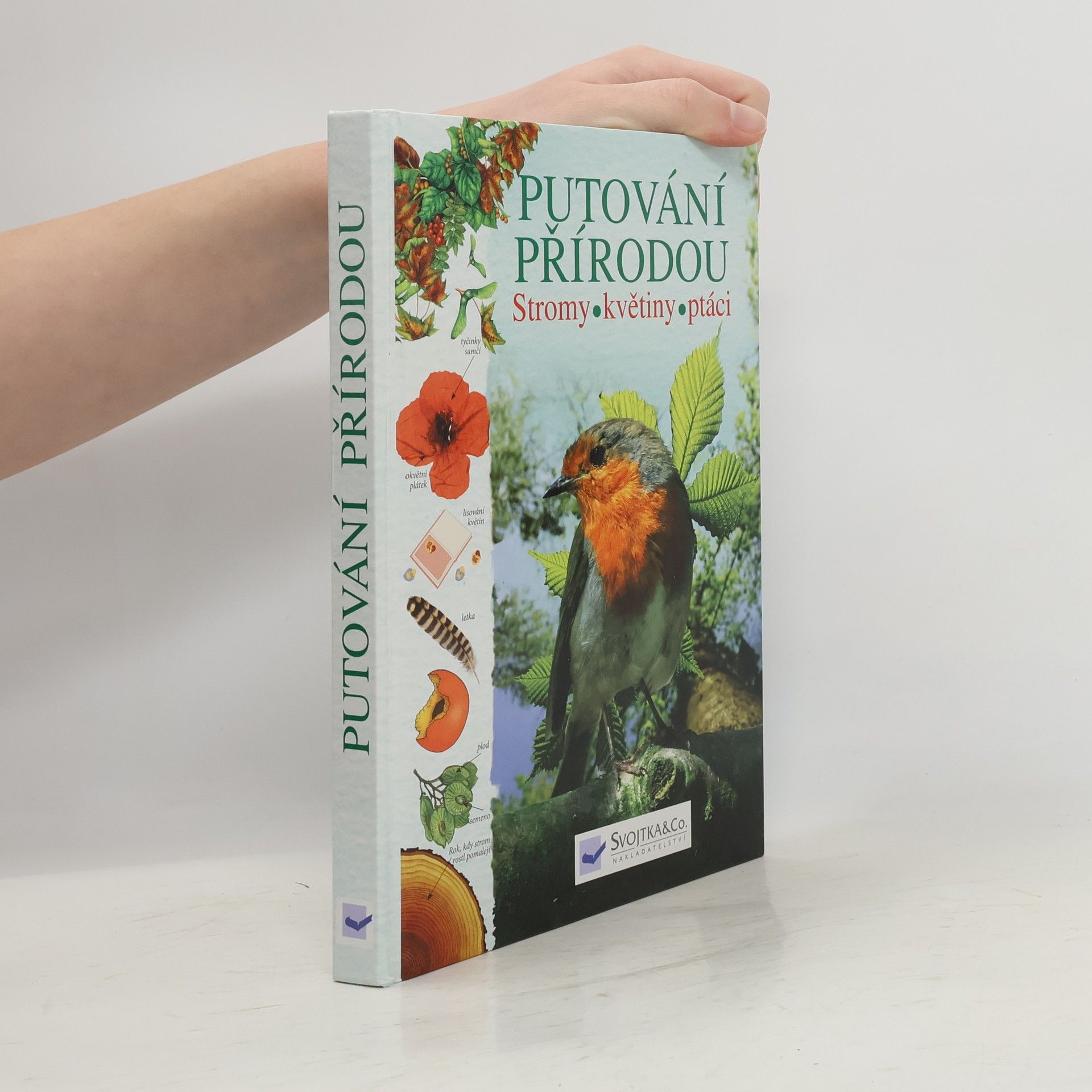 Kolektiv autorů Putování přírodou: Stromy, květiny, ptáci