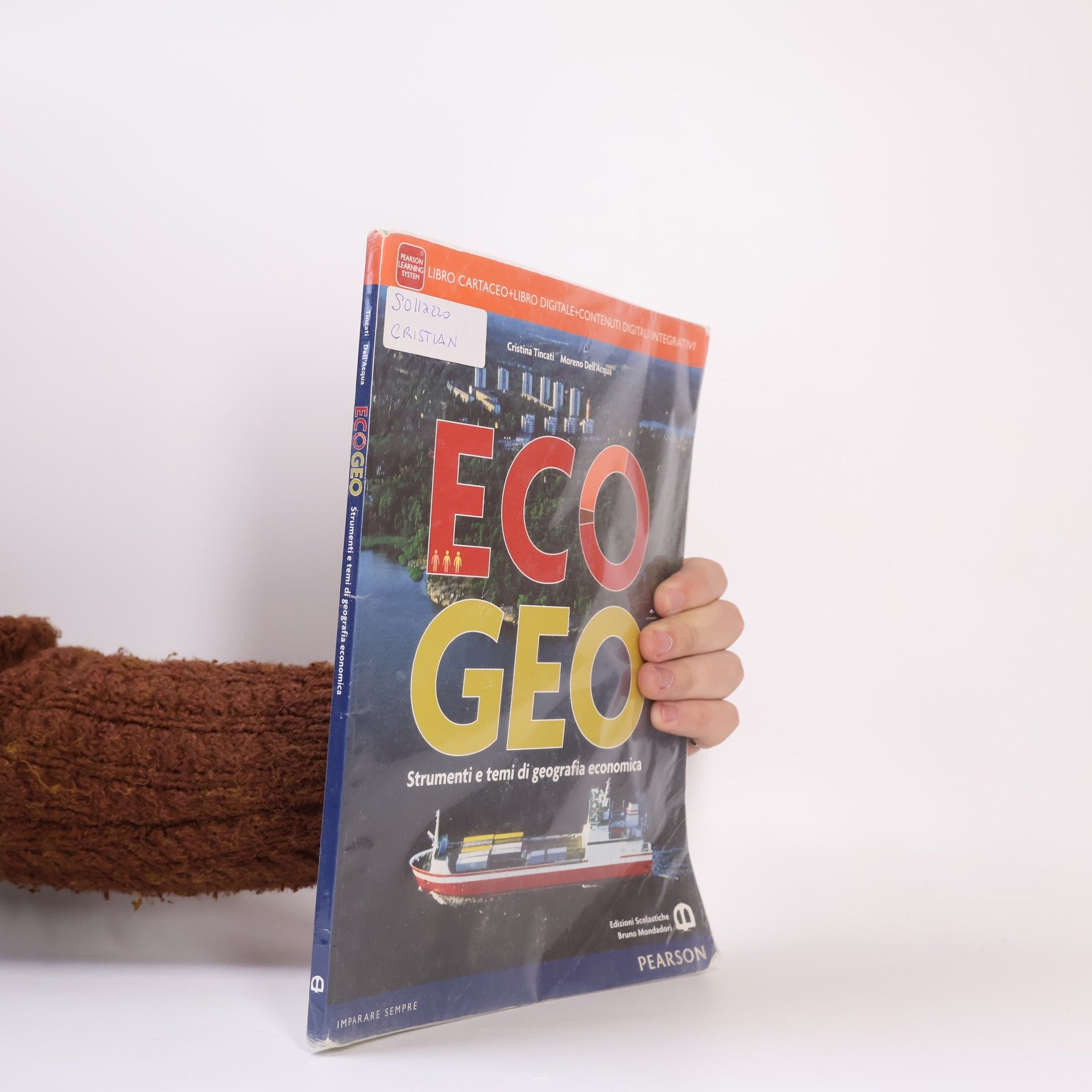 Cristina Tincati  ECO GEO: Strumenti e temi di geografia economica