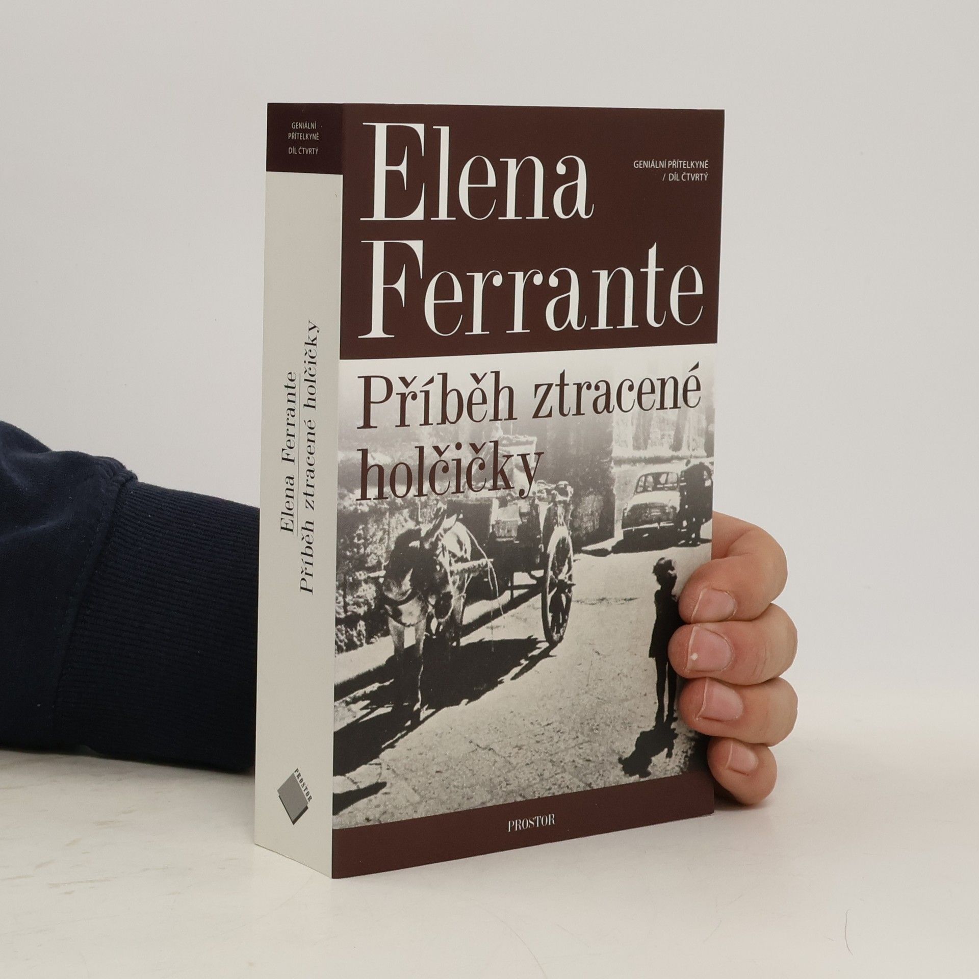 Elena Ferrante Příběh ztracené holčičky. Geniální přítelkyně. 4. díl