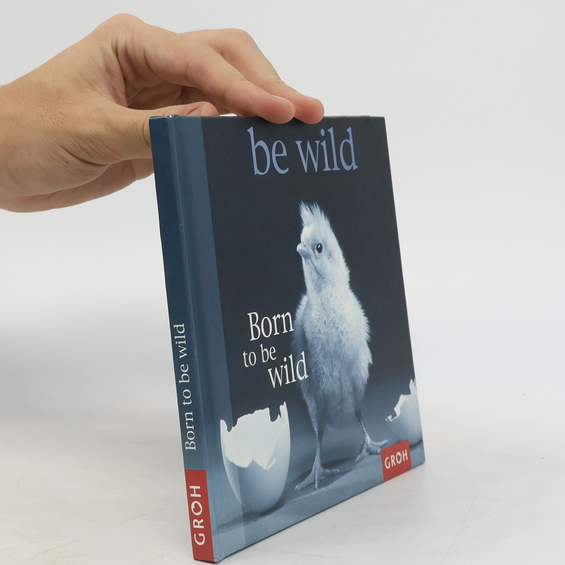 Autorenkollektiv Born to be wild