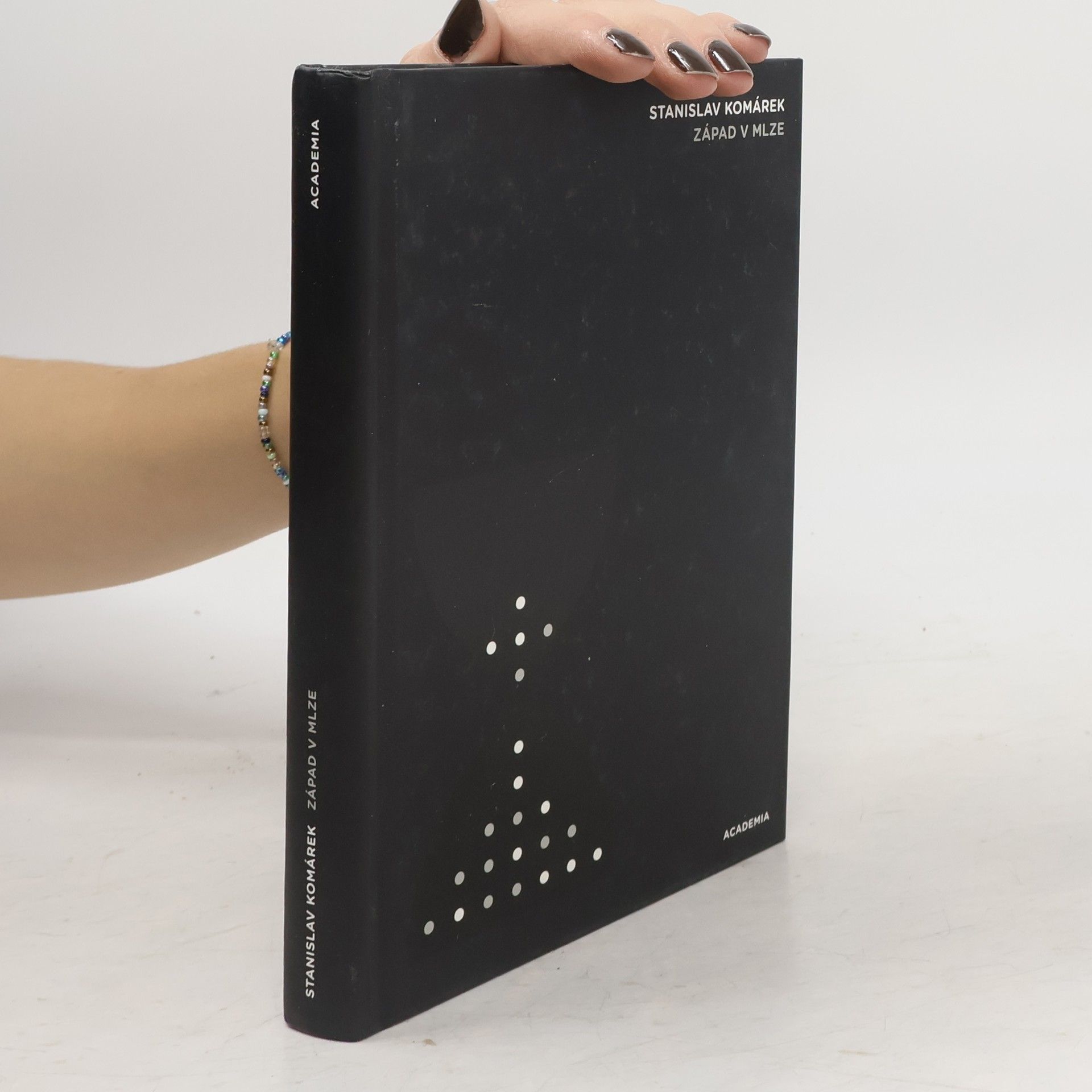 Stanislav Komárek Západ v mlze