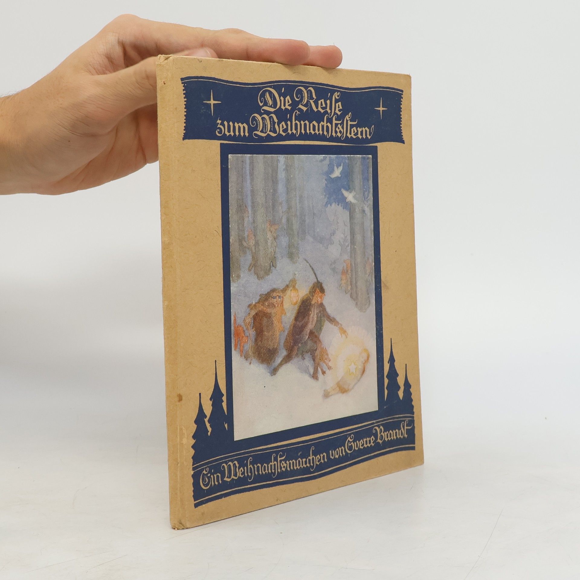 Die Reise zum Weihnachtsstern