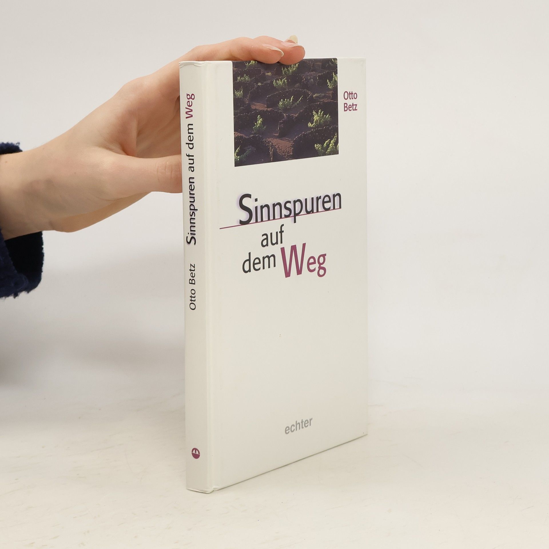 Otto Betz Sinnspuren auf dem Weg
