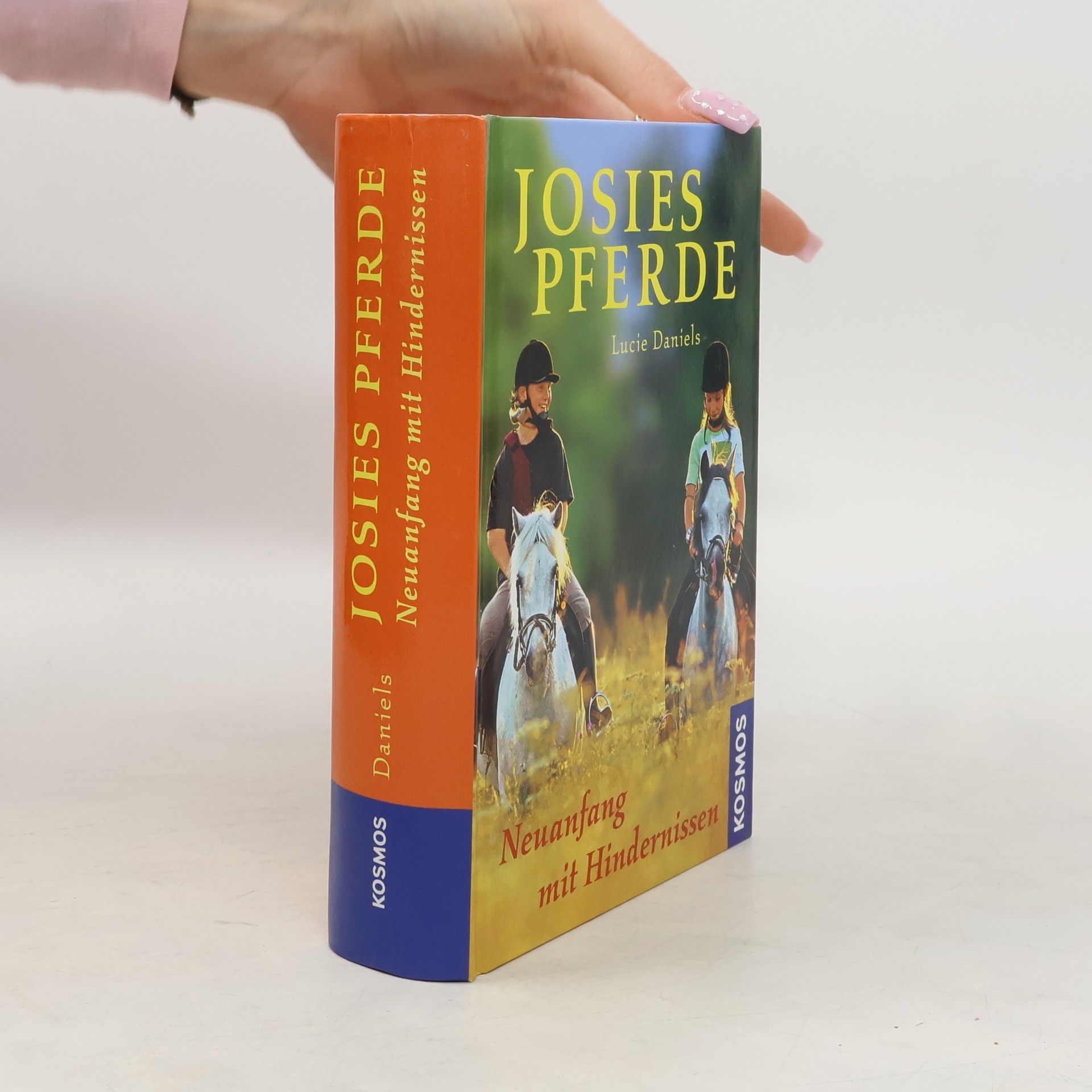 Lucy Daniels Josies Pferde - Neuanfang mit Hindernissen