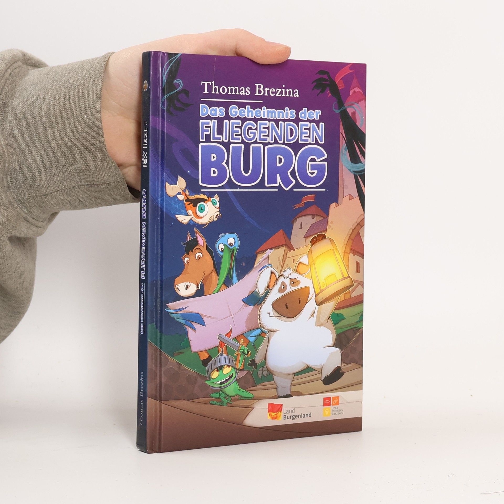 Das Geheimnis der Fliegenden Burg