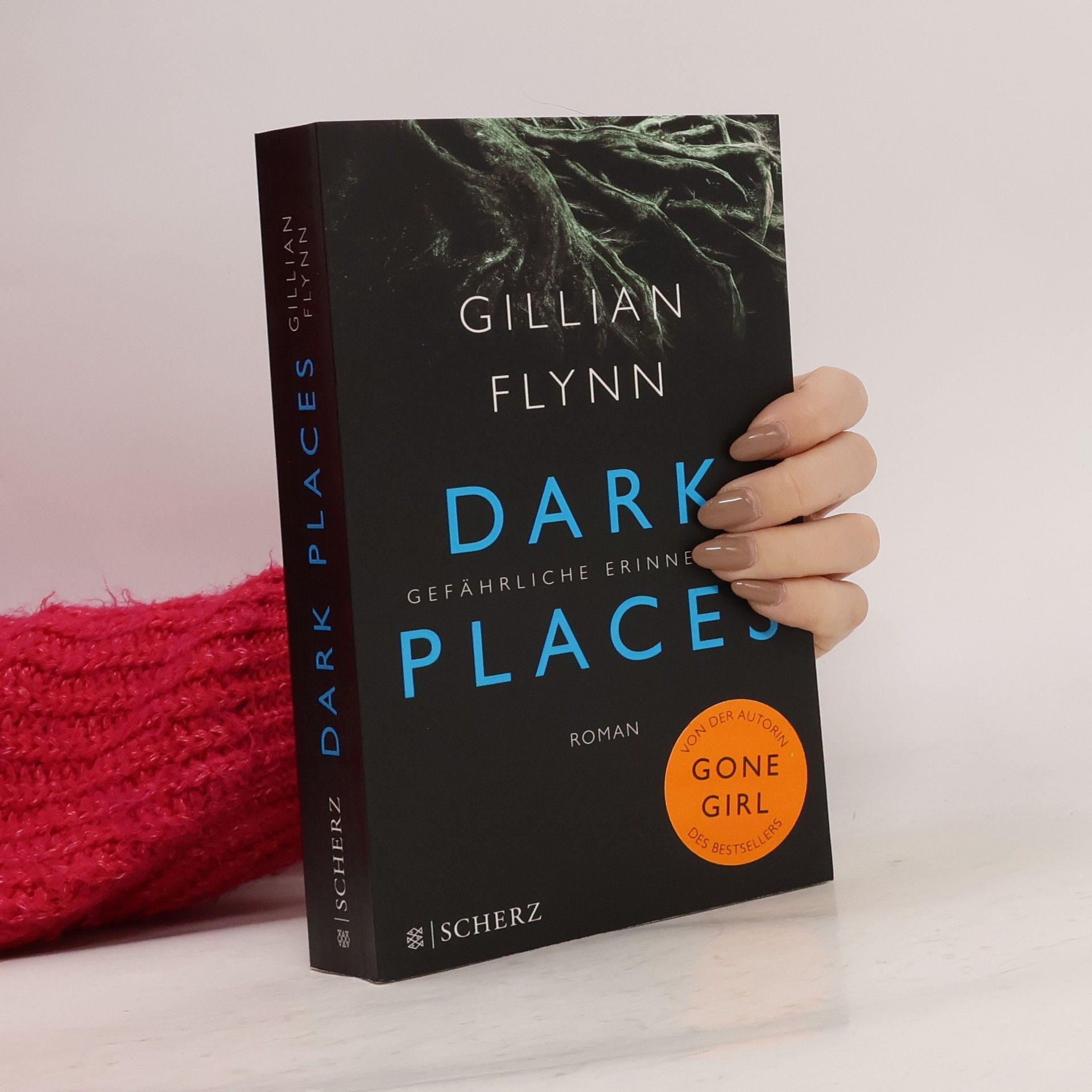 Gillian Flynn Dark places