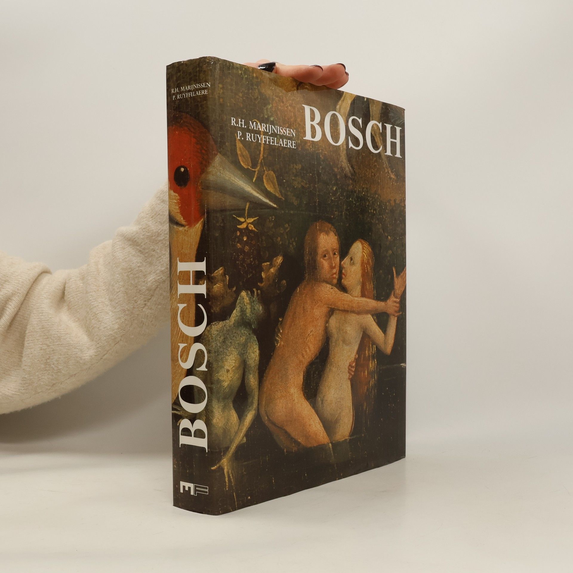 Roger Marijnissen Hieronymus Bosch