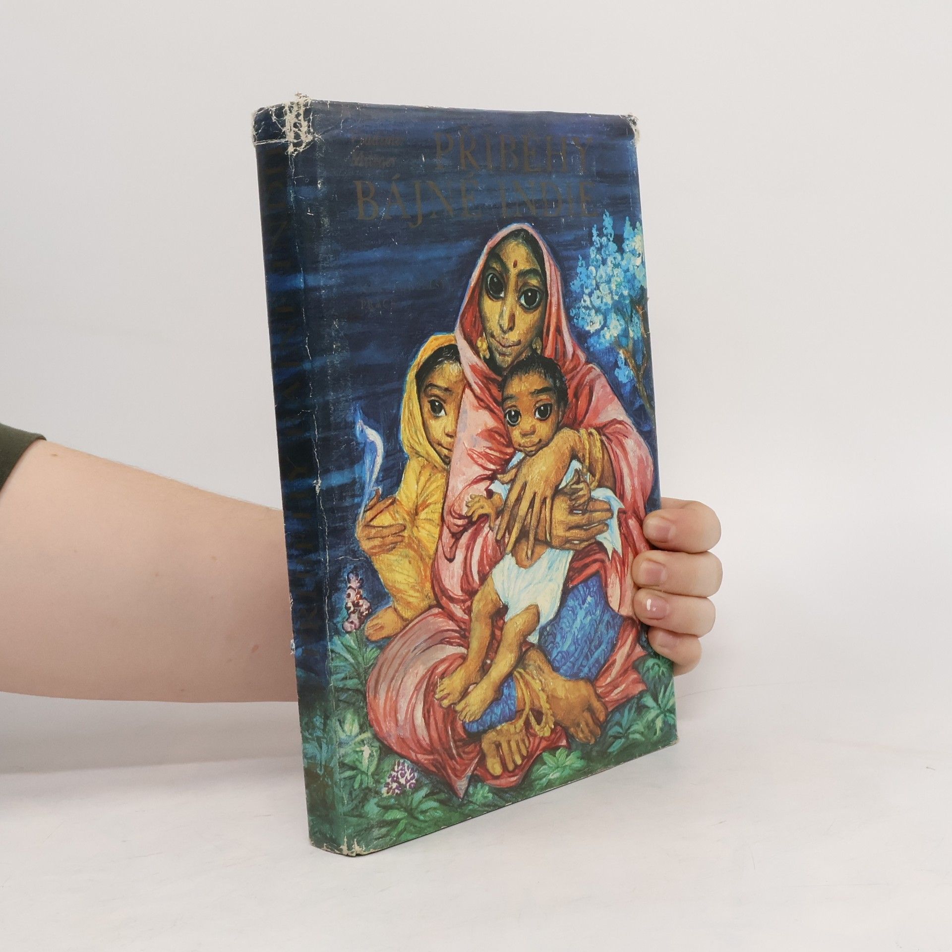 Příběhy bájné Indie