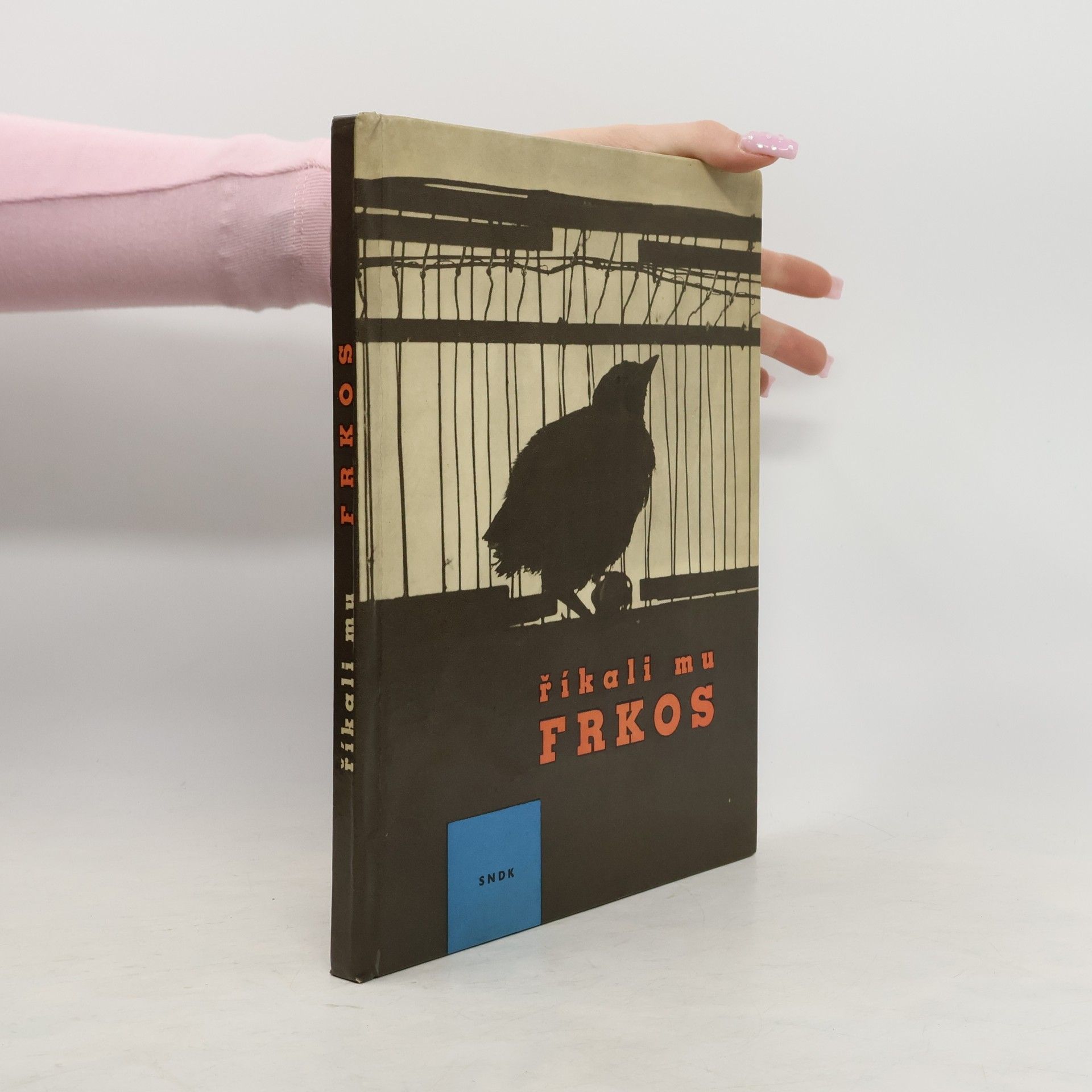 Pavel Kohout Říkali mu Frkos