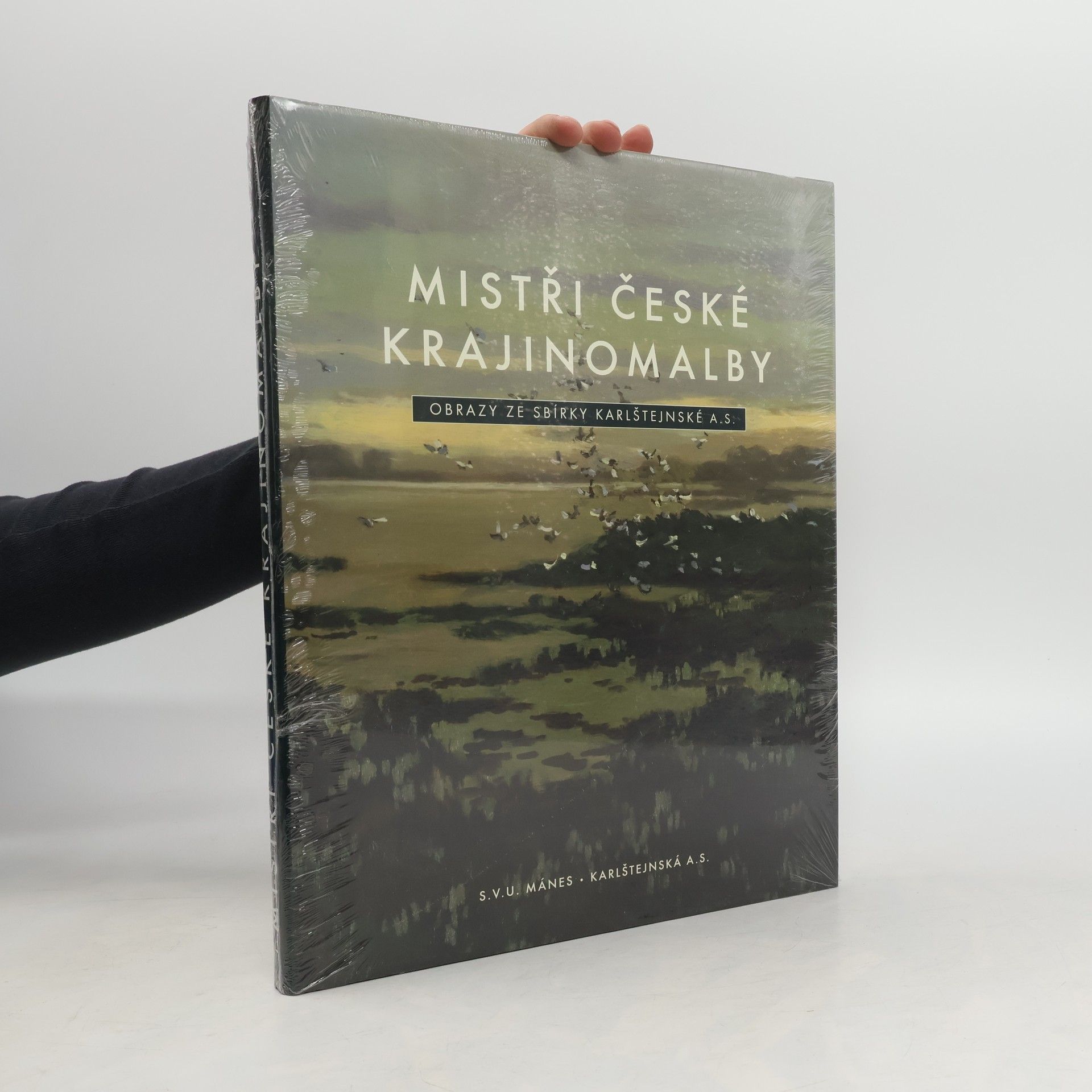 Collectif d'auteurs Mistři české krajinomalby