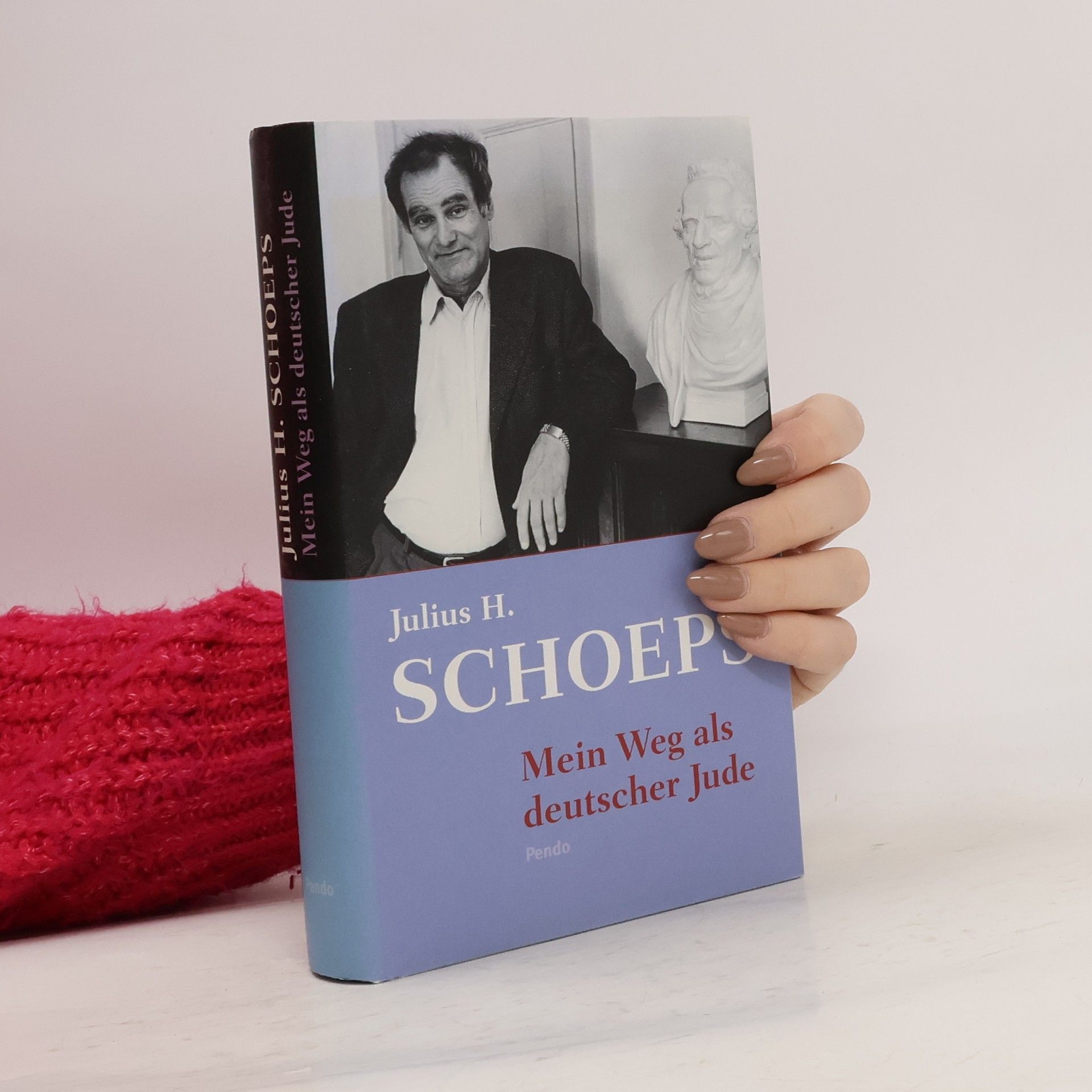 Julius H. Schoeps Mein Weg als deutscher Jude