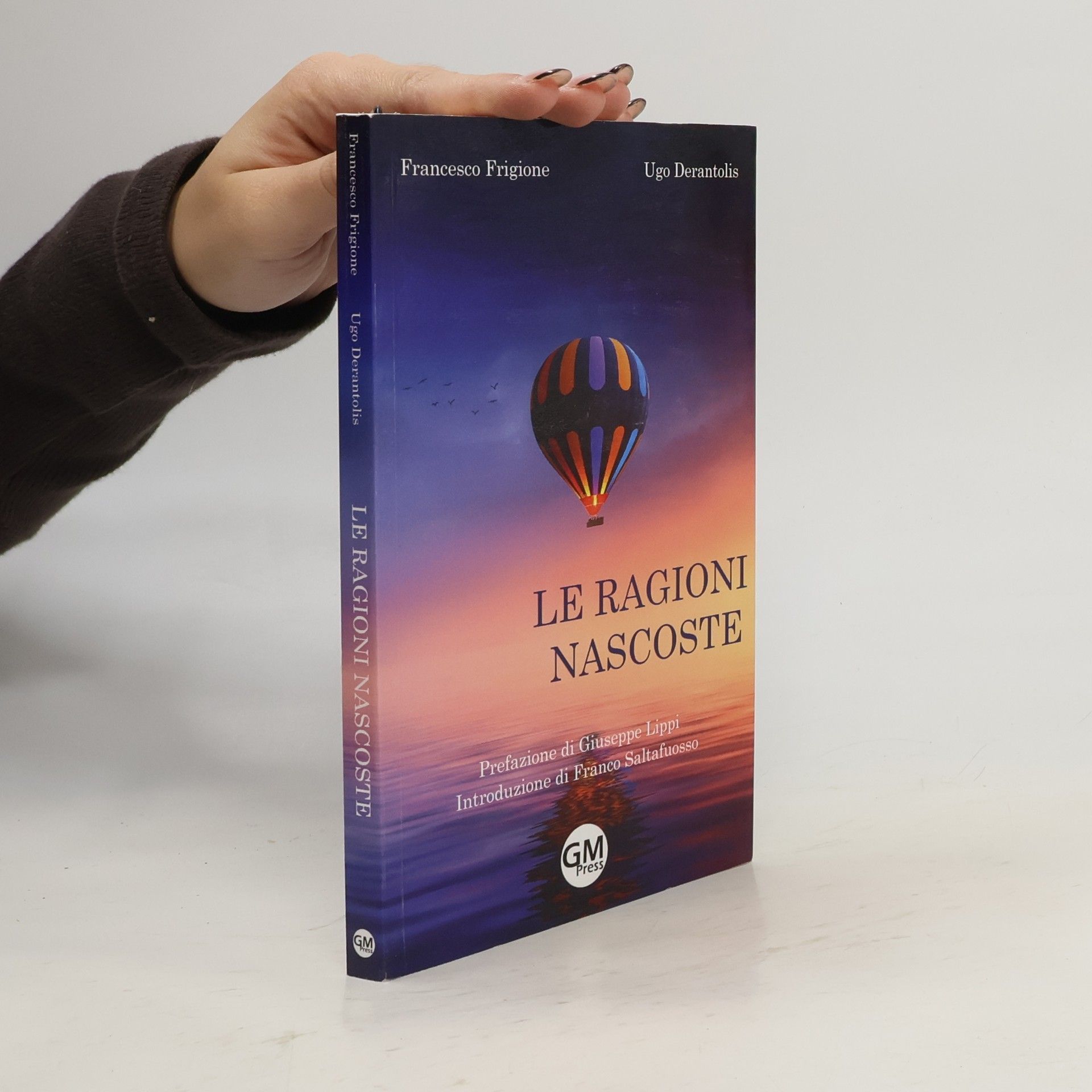 Francesco Frigione Le ragioni nascoste