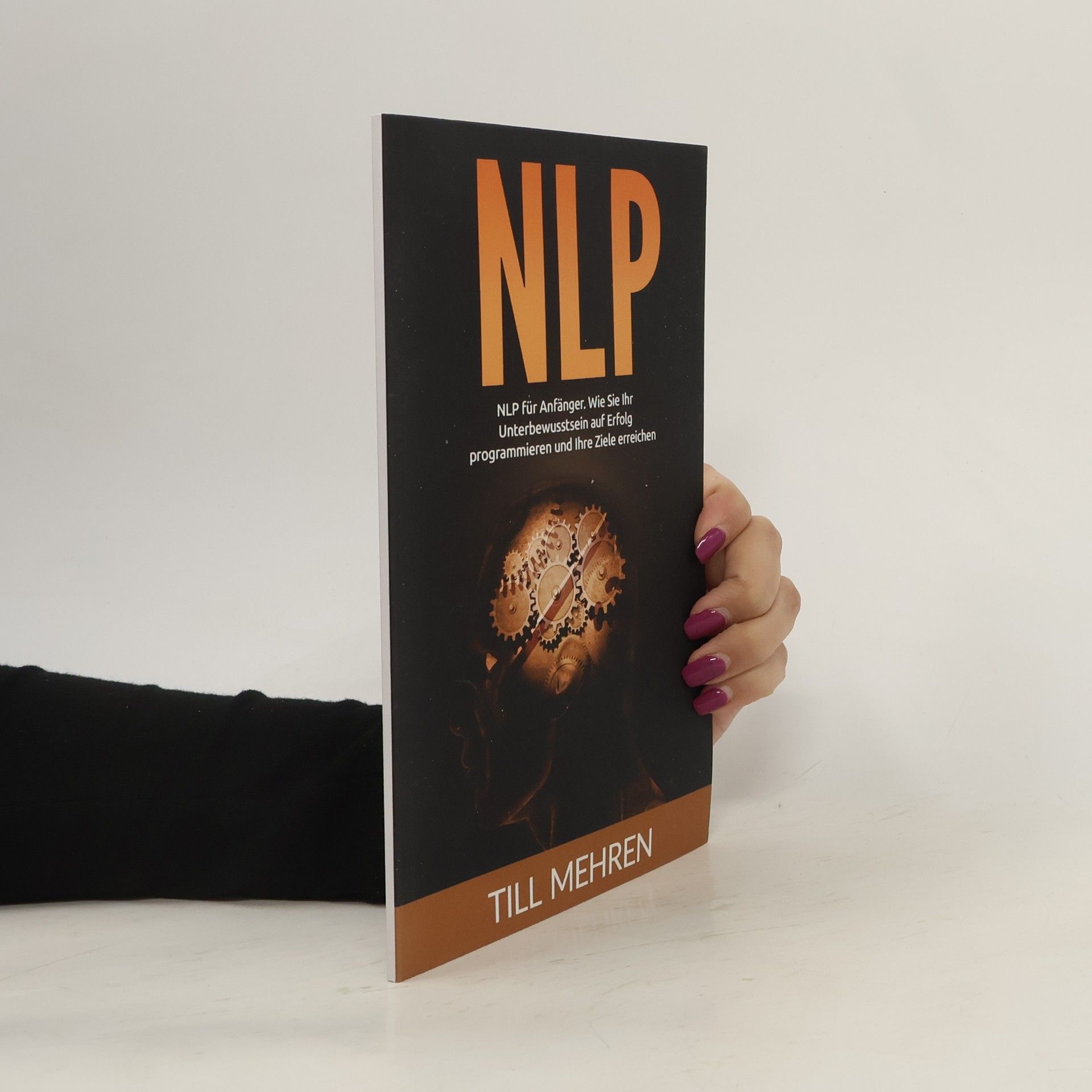 Till Mehren NLP Für Anfänger