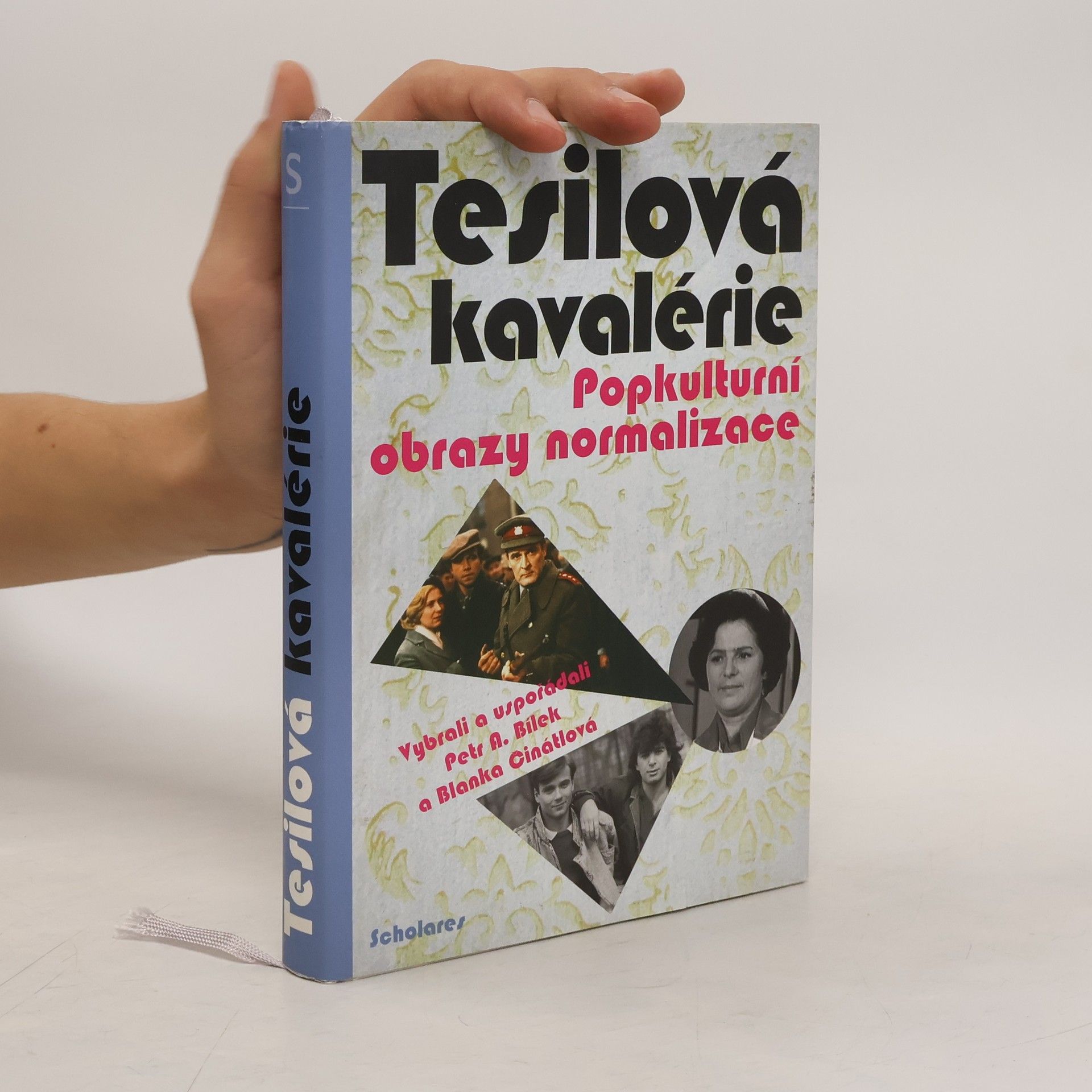 Tesilová kavalérie. Popkulturní obrazy normalizace