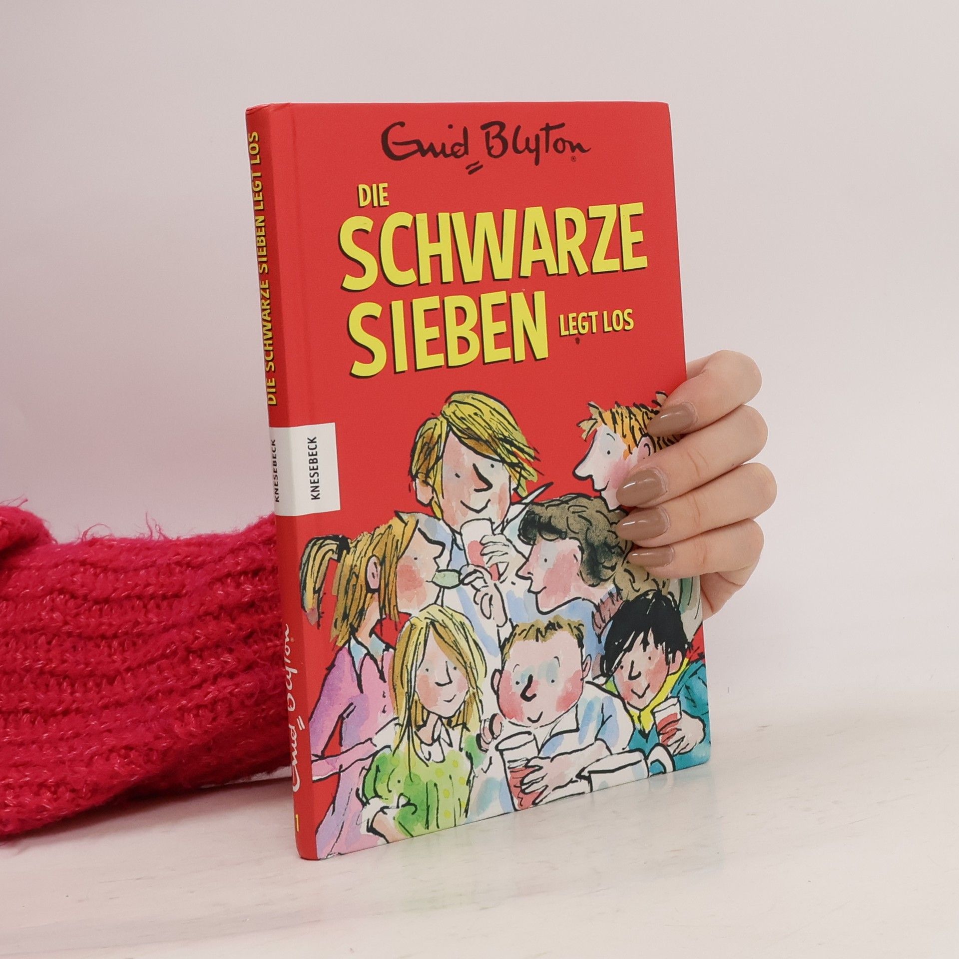 Enid Blyton Die Schwarze Sieben legt los