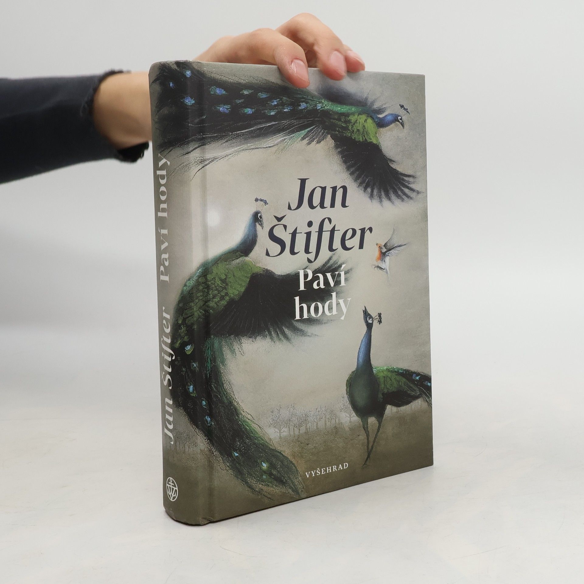 Jan Štifter Paví hody