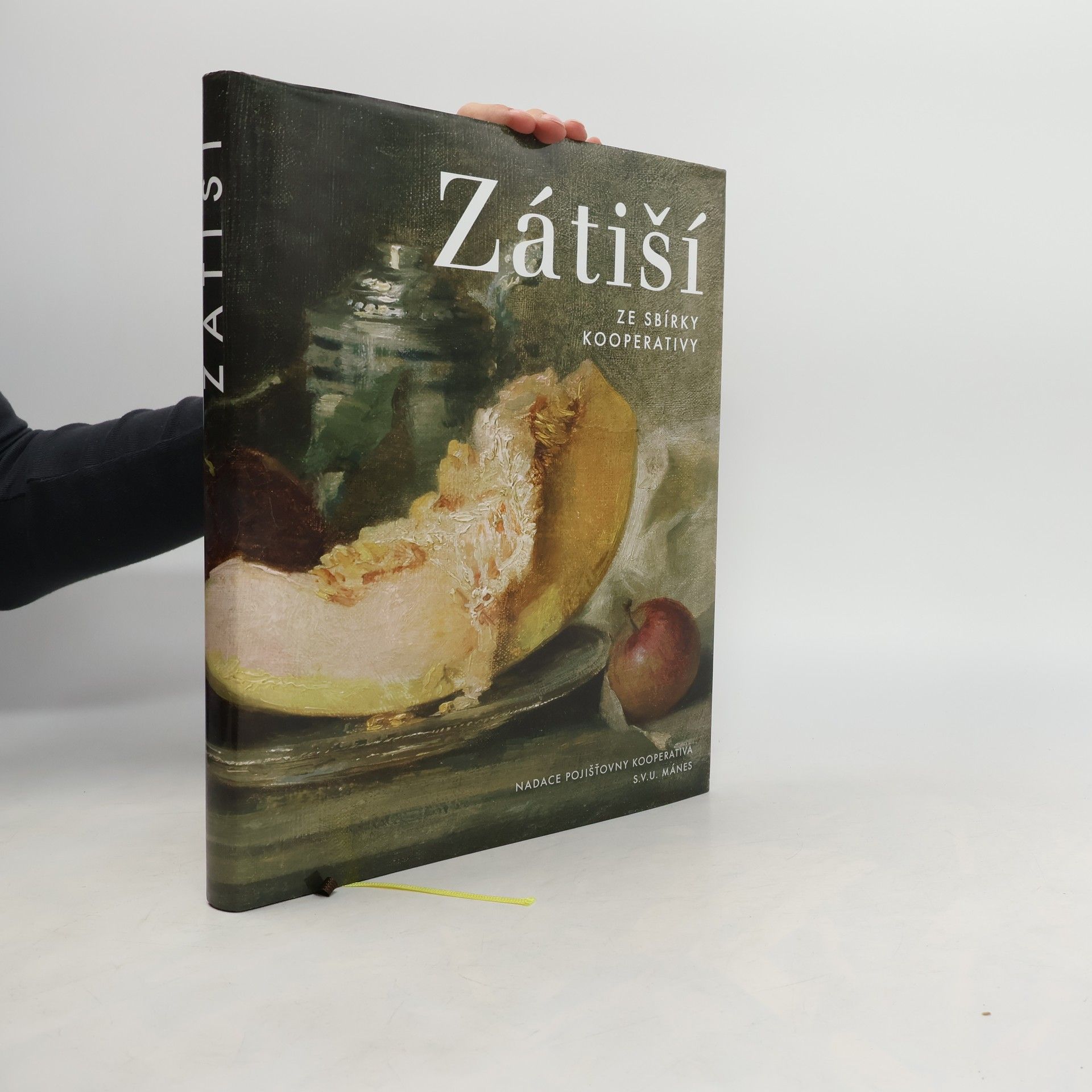 Kolektiv autorů Zátiší. Ze sbírky Kooperativy pojišťovny a.s.