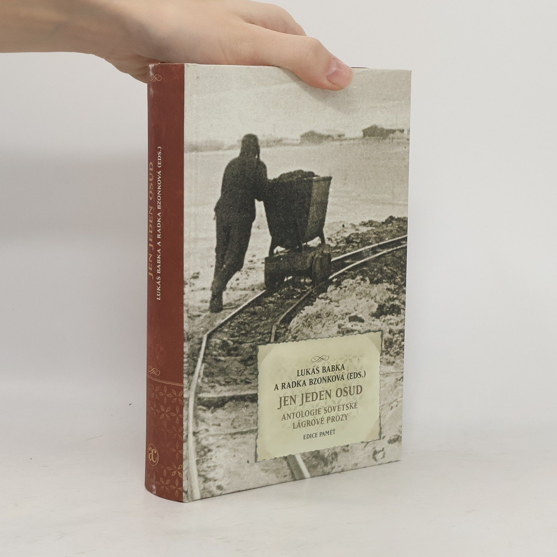 Lukáš Babka Jen jeden osud