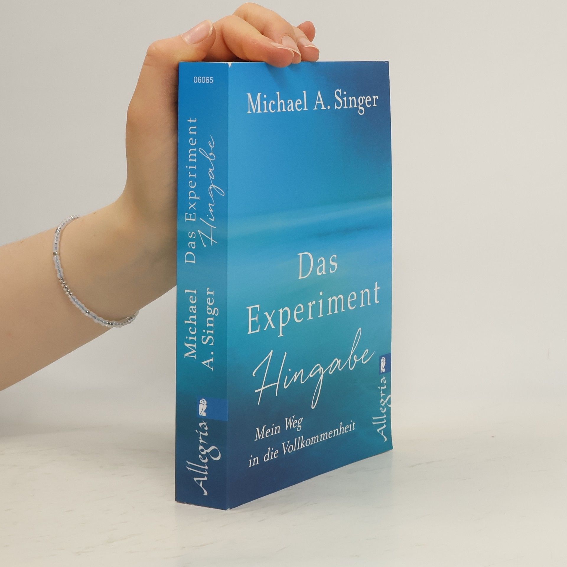 Michael A. Singer Das Experiment Hingabe