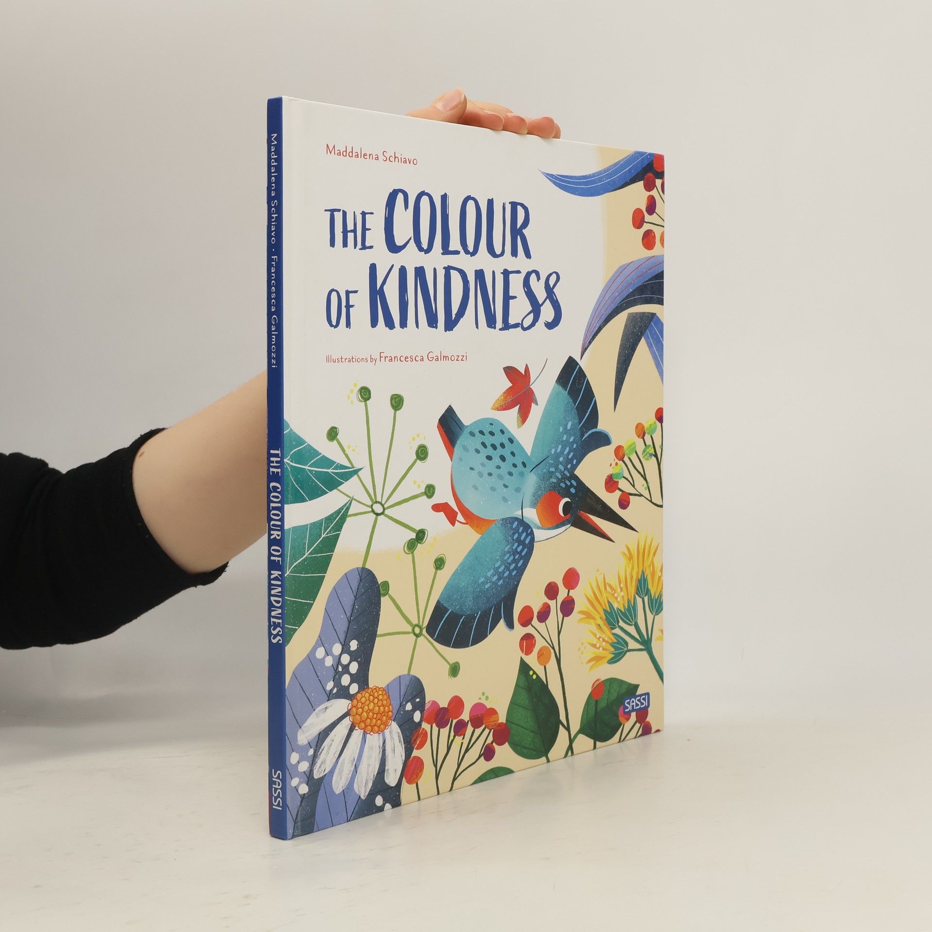 The Colours of the Kindness. Ediz. a Colori