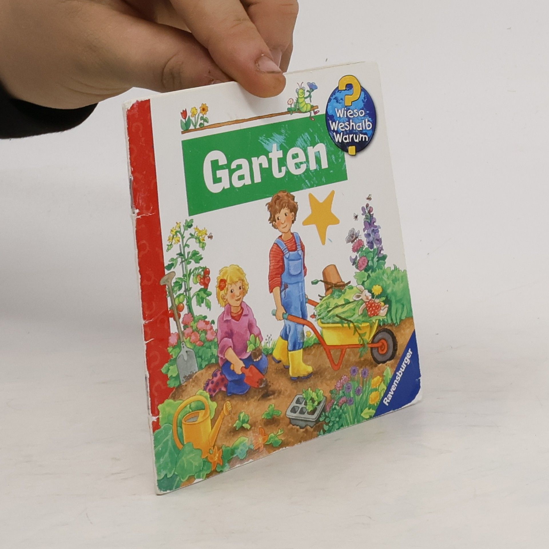 Angela Weinhold Das Wetter