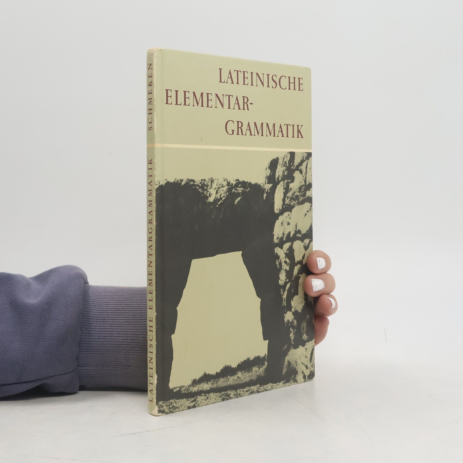 Lateinische Elementargrammatik