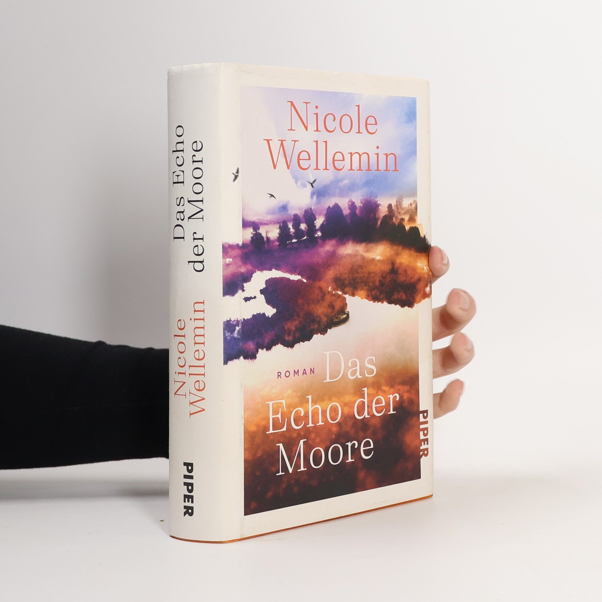 Nicole Wellemin Das Echo der Moore