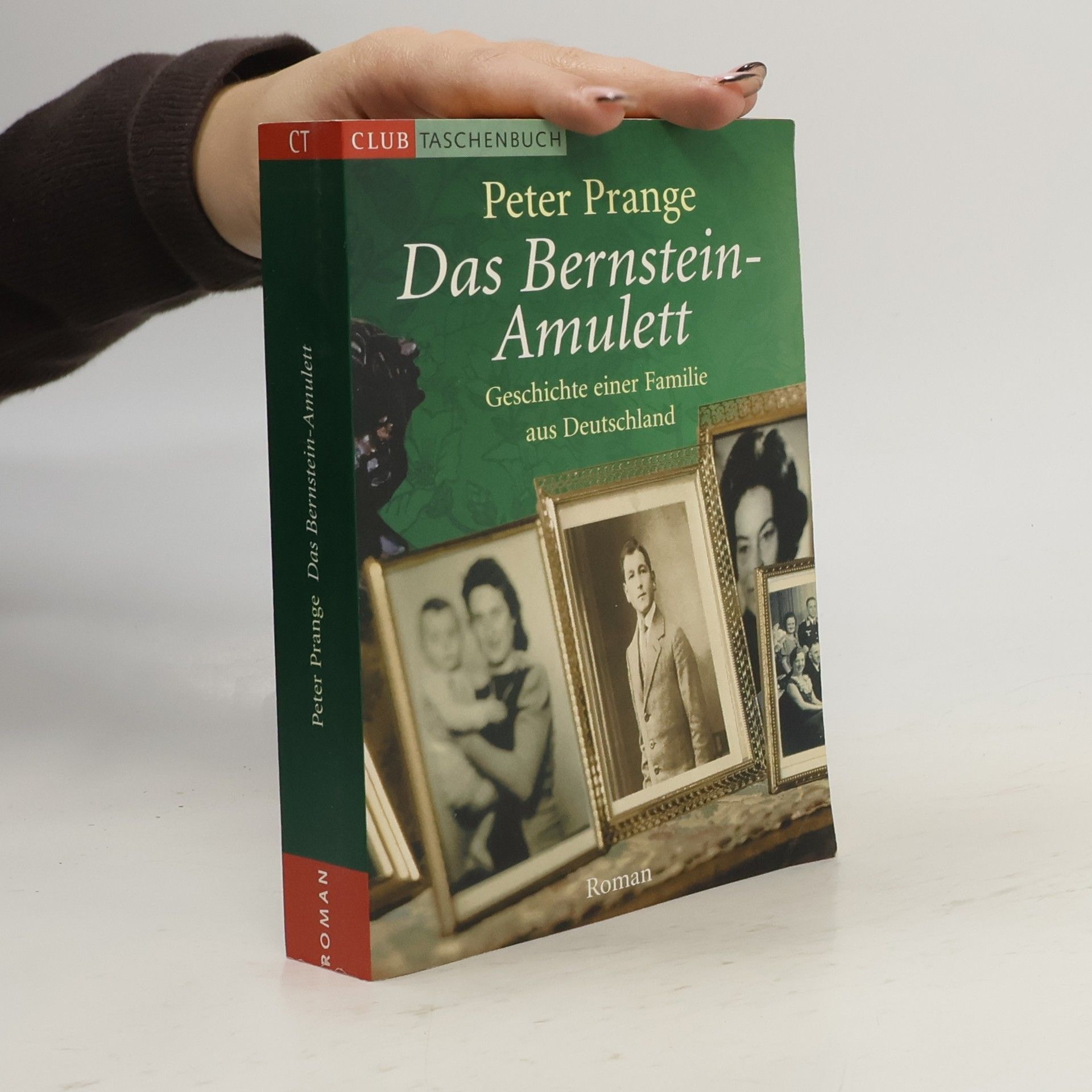 Peter Prange Das Bernstein-Amulett