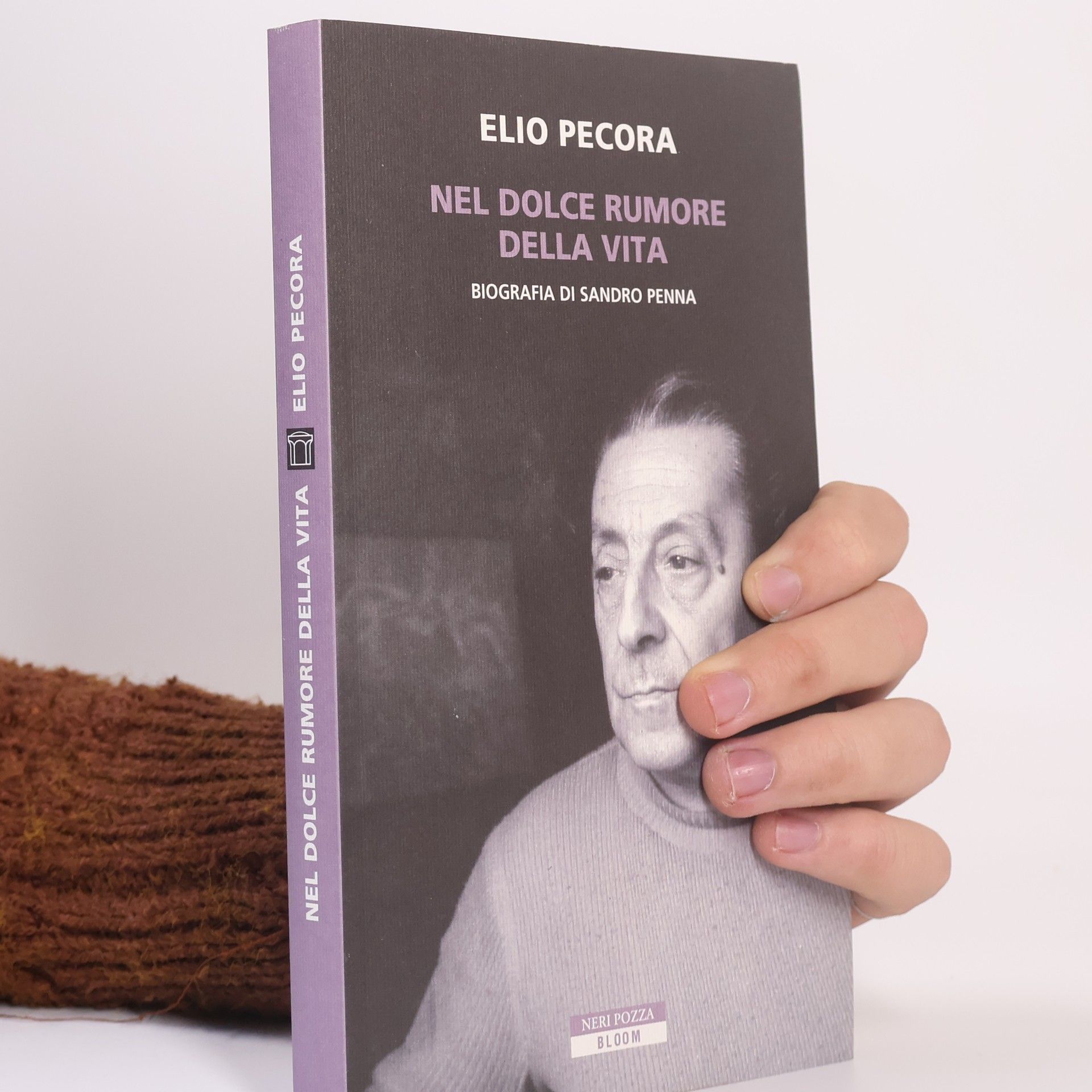 Elio Pecora Nel dolce rumore della vita. Biografia di Sandro Penna