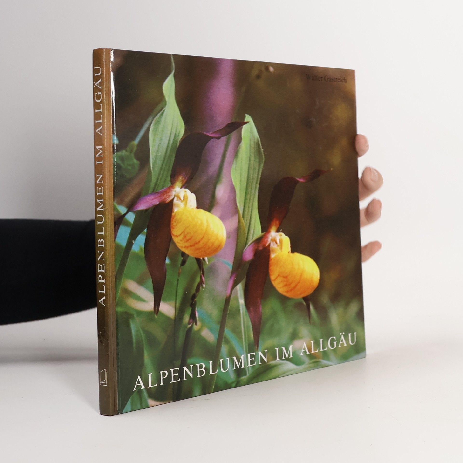 Walter Gastreich Alpenblumen im Allgäu