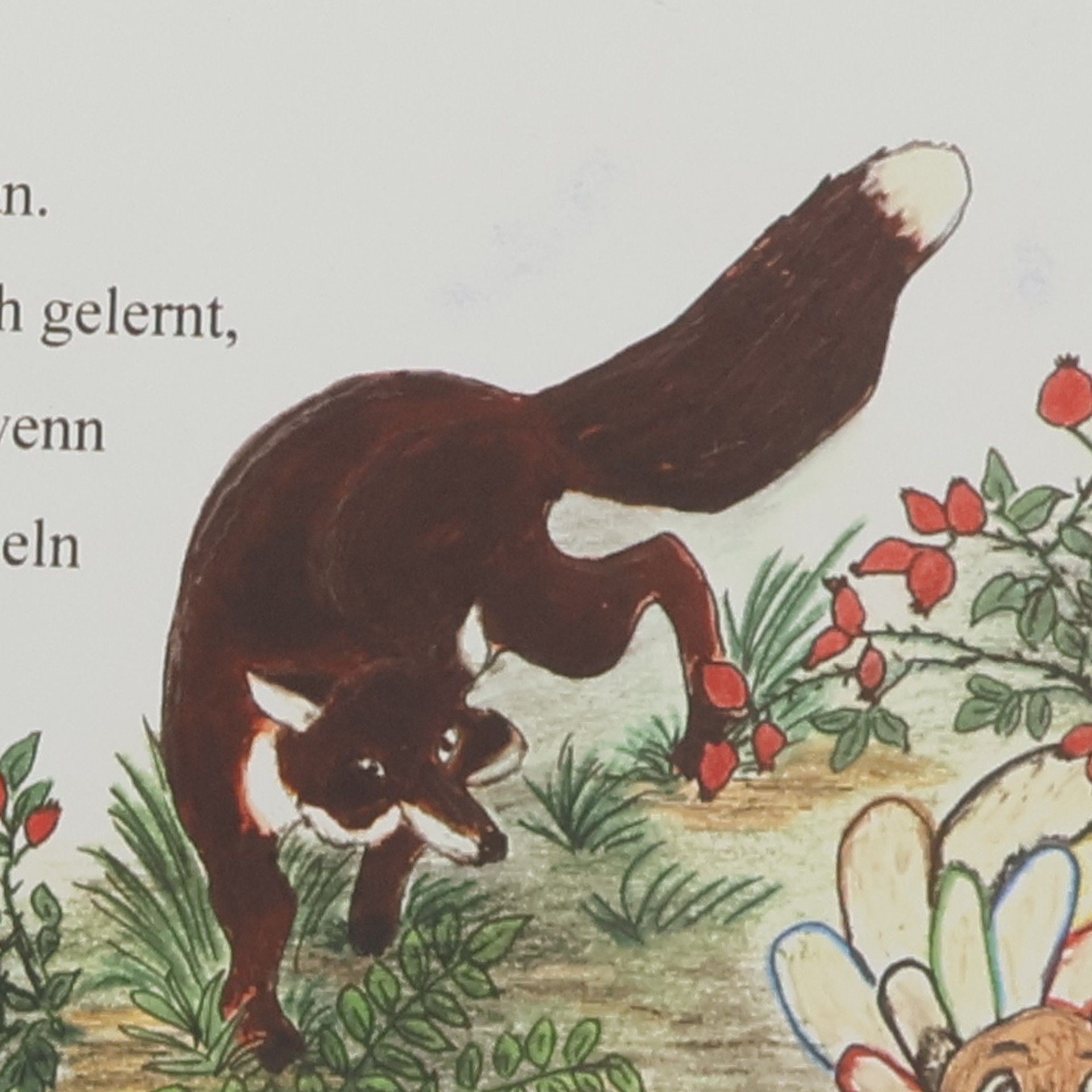 Helga Passegger ISI der Starke
