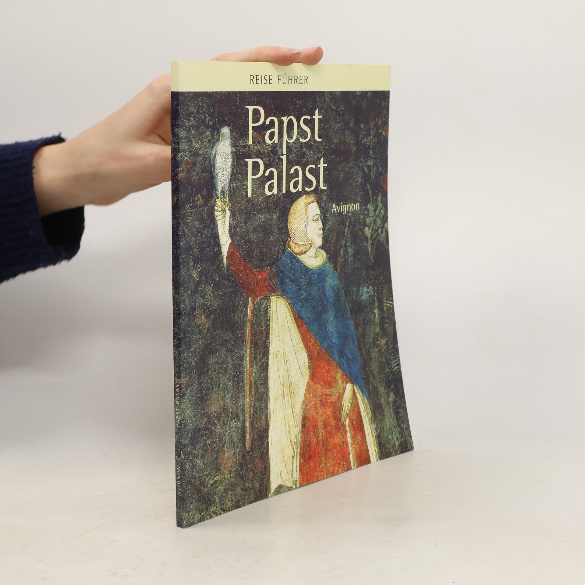 Autorenkollektiv Papst-Palast, Avignon