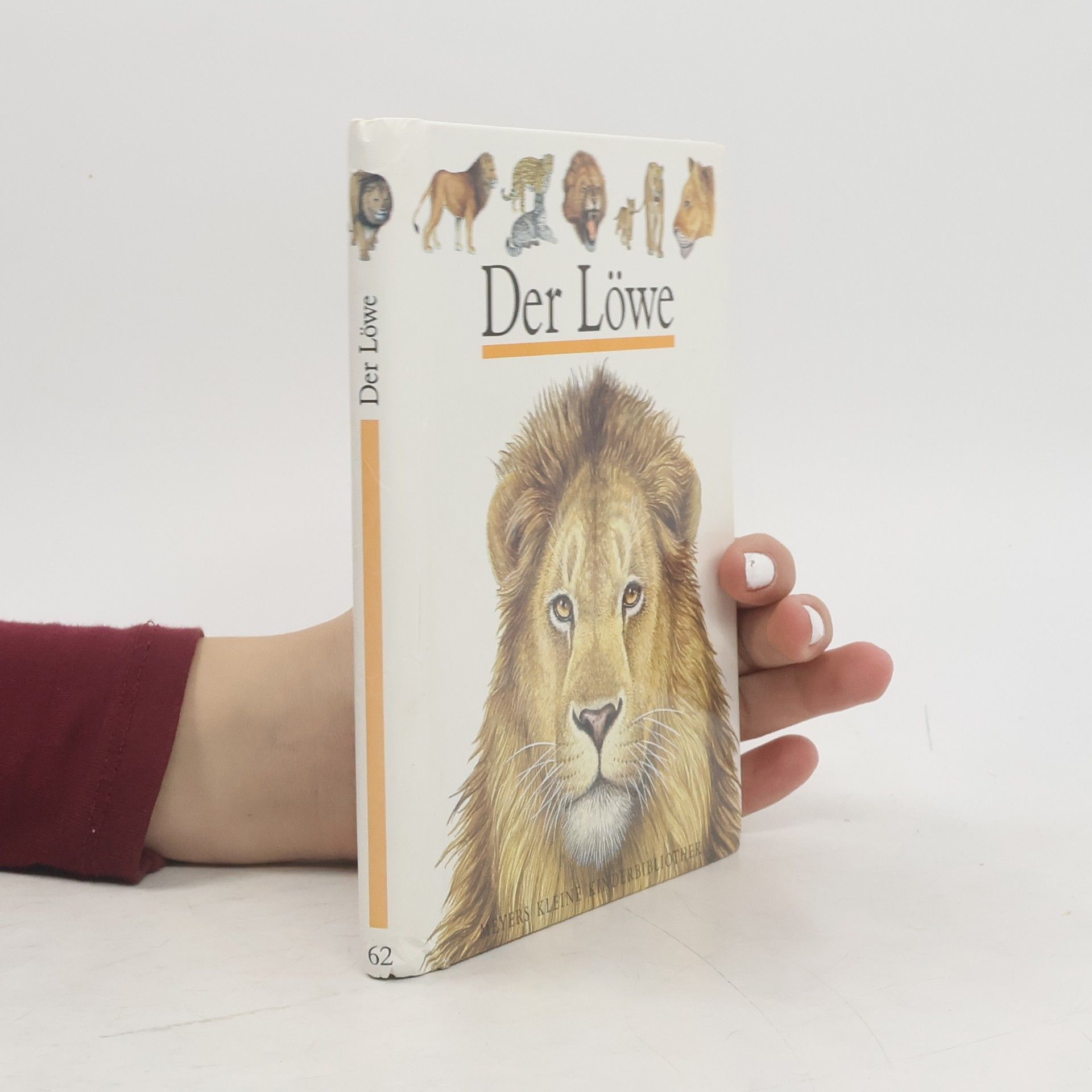 Pierre de Hugo Der Löwe