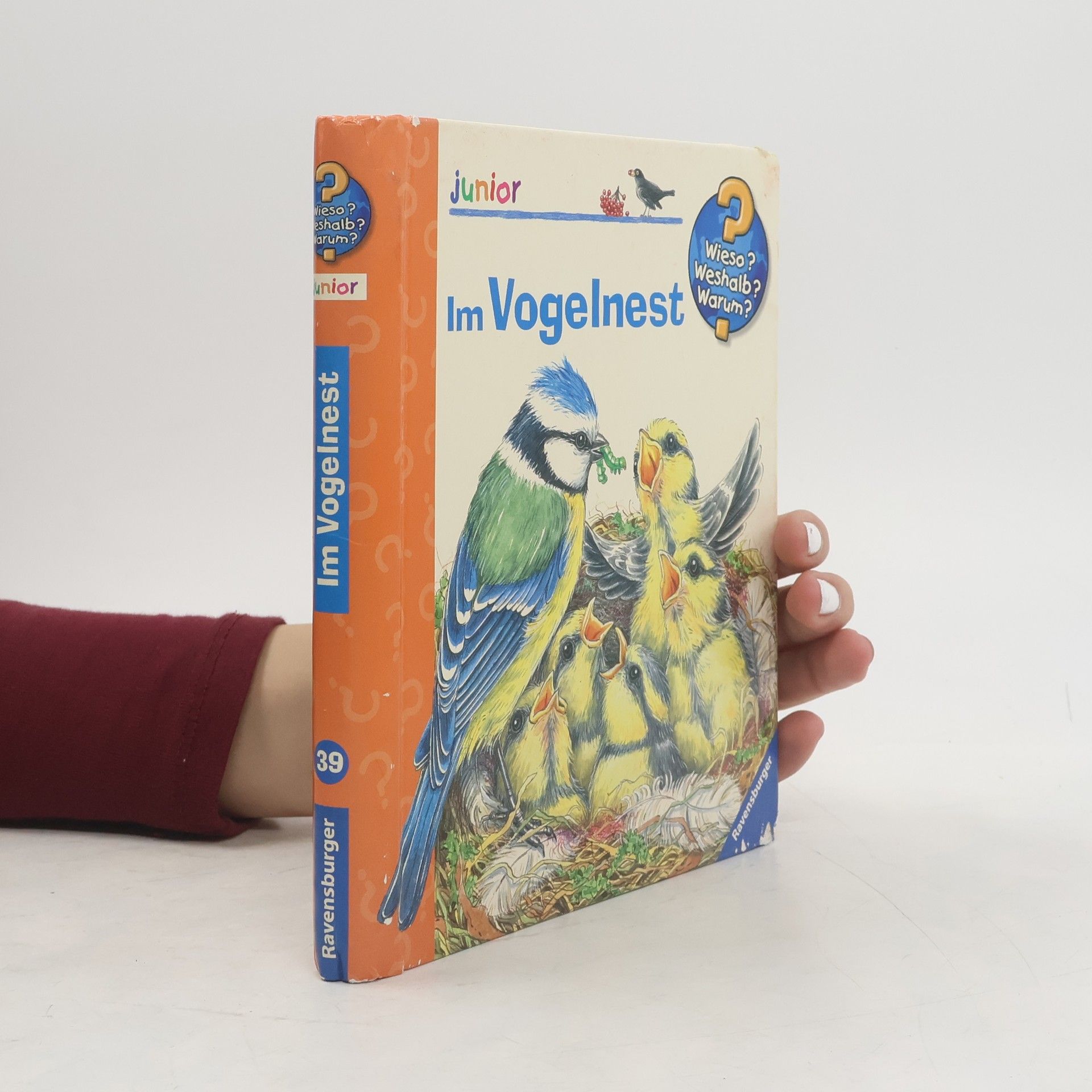 Marion Kreimeyer-Visse Im Vogelnest