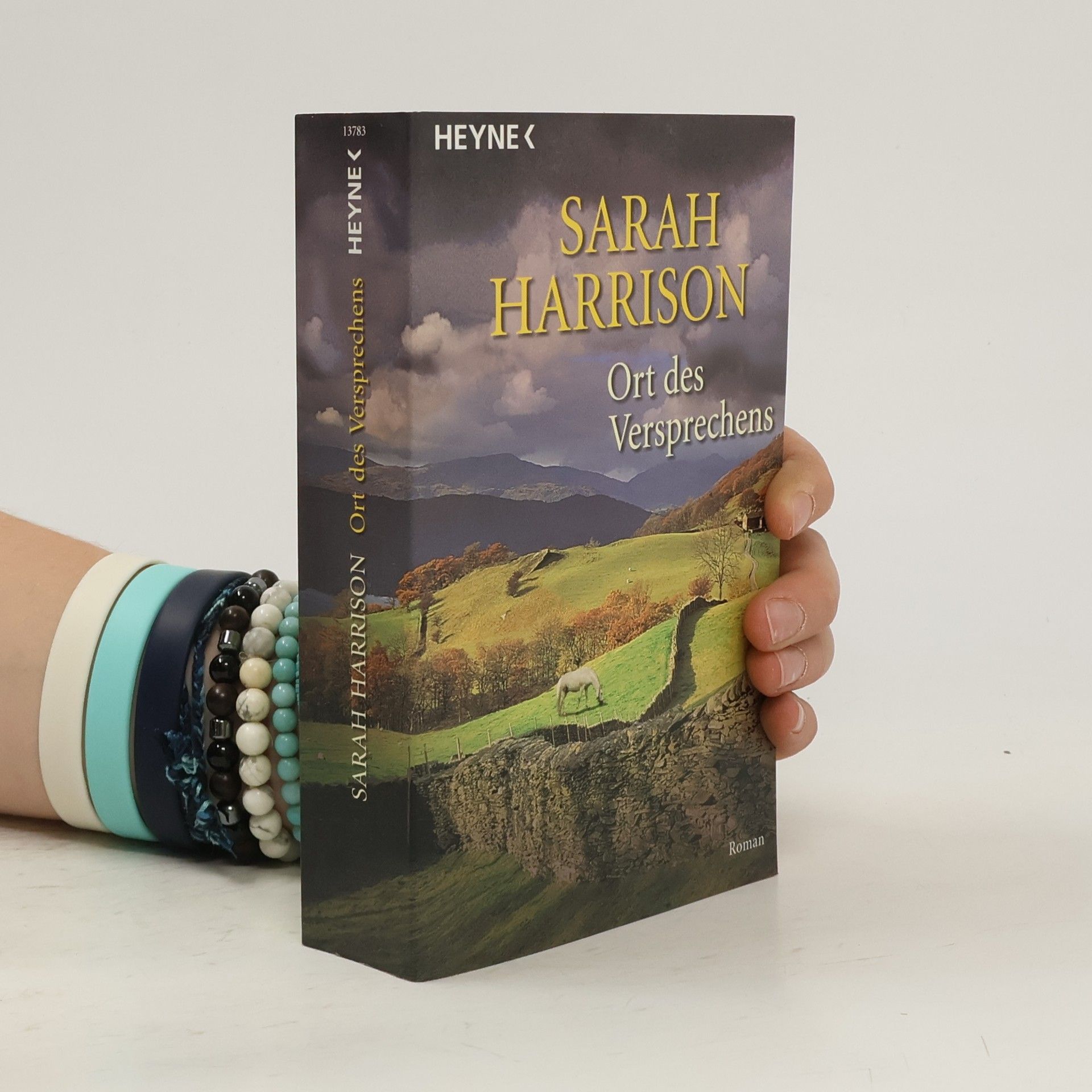 Sarah Harrison Ort des Versprechens