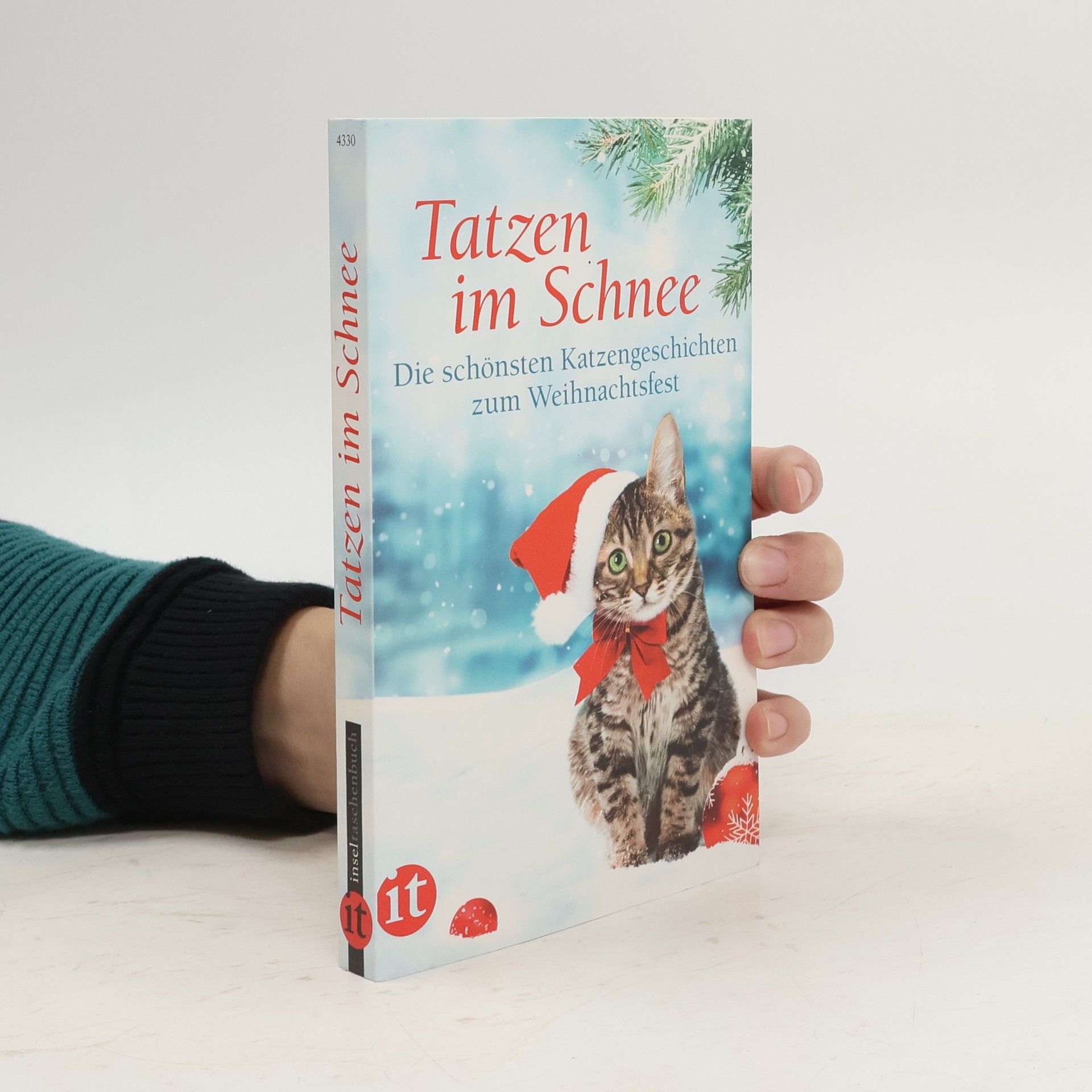 Gesine Dammel Tatzen im Schnee