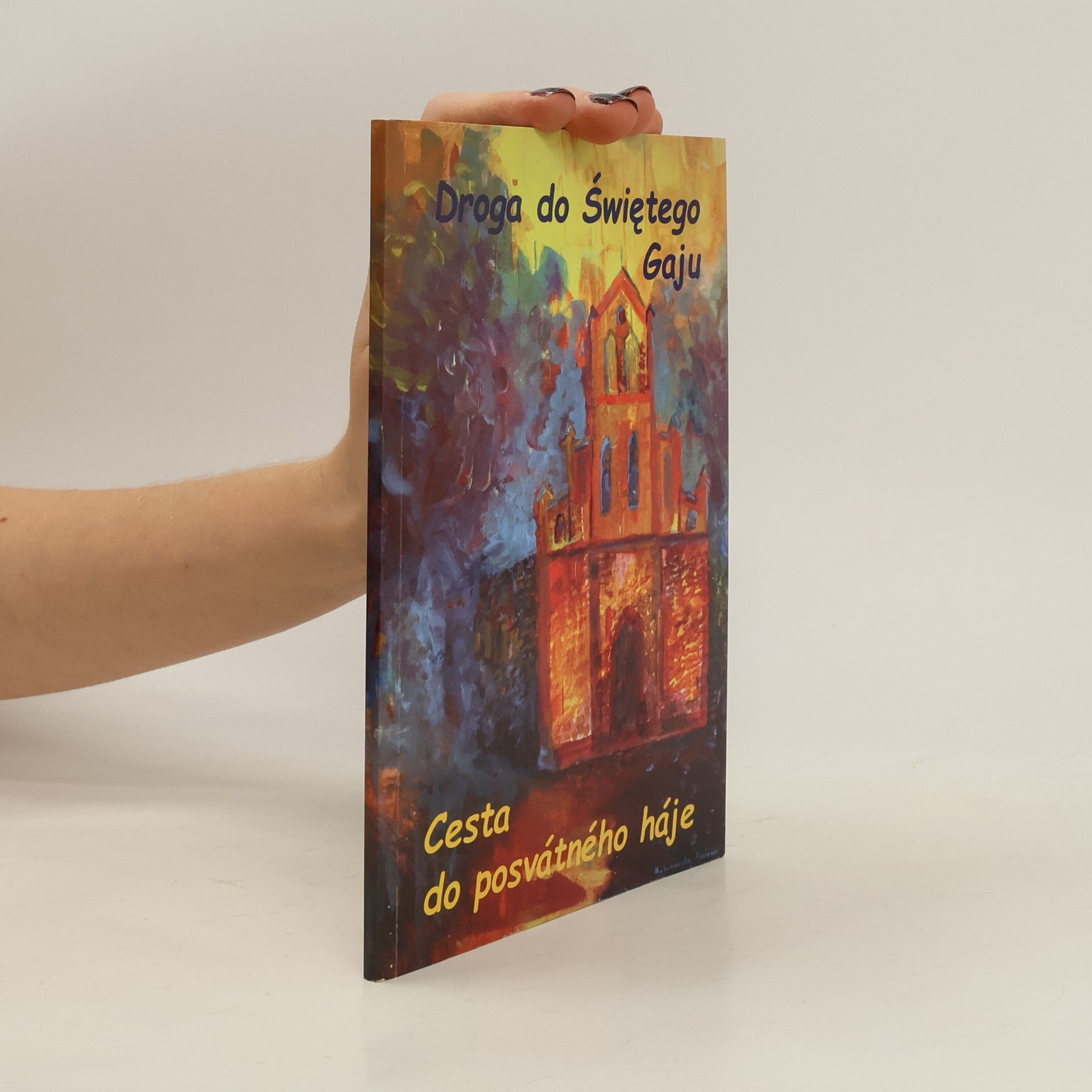 Cesta do posvátného háje : antologie polsko-českého příhraničí = Droga do Świętego Gaju : antologia polsko-czeskiego pogranicza